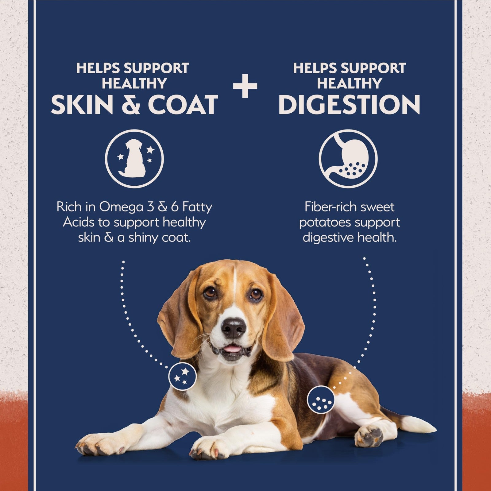 Dry dog food bag labeled Natural Balance Limited Ingredient Grain Salmon and Sweet Potato flavor, featuring salmon and sweet potatoes.