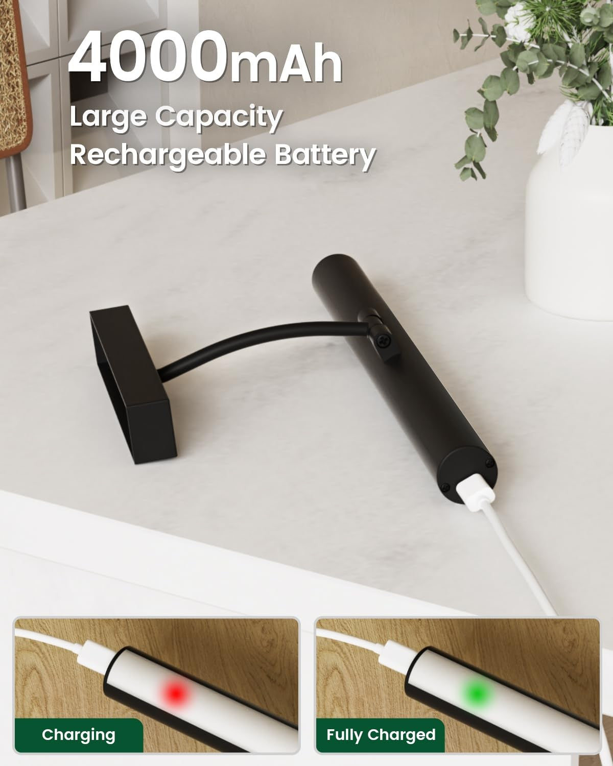 Bridika battery-operated wall picture light with remote, featuring three color modes and adjustable brightness for artwork illumination.