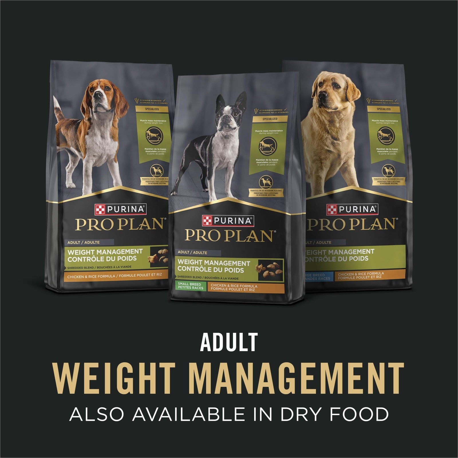 Canned Purina Pro Plan weight management wet dog food with chicken and rice, showing the food served in a bowl.