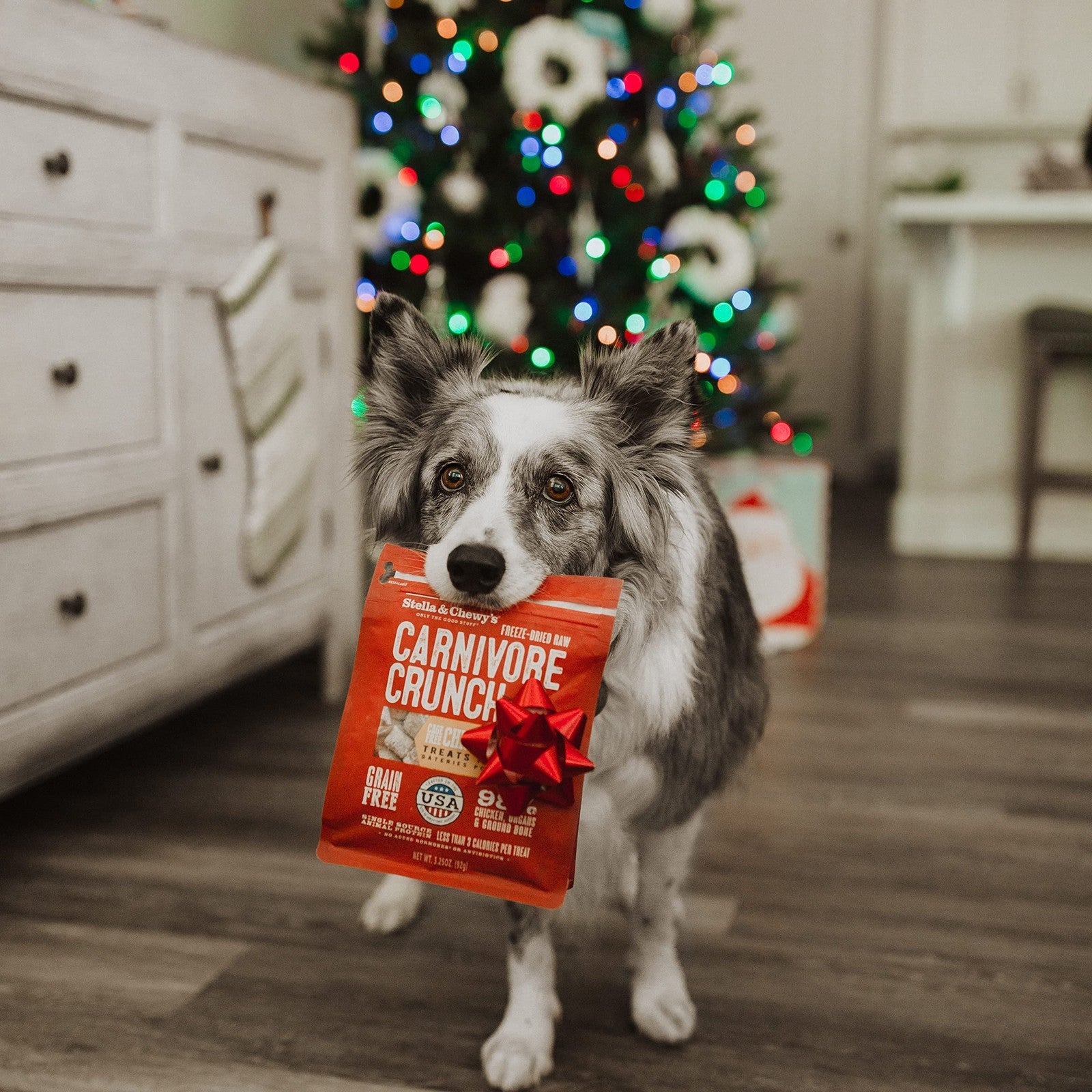 Stella & Chewy's Mixed Protein Treats bundle with three packages of natural pet treats on a white background
