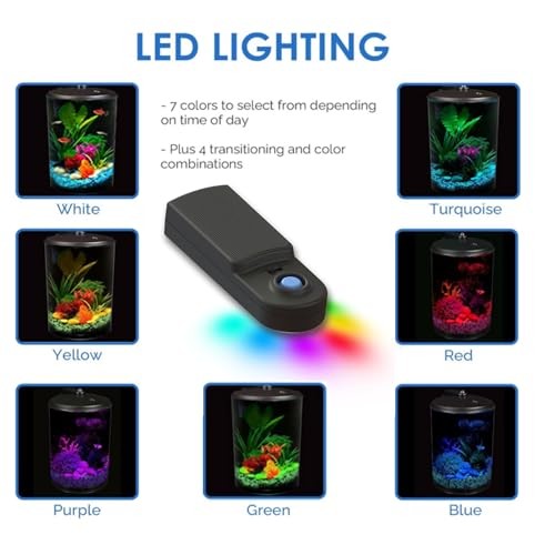 Koller Products AquaView 3-Gallon 360 Aquarium with vibrant 7-color LED lighting and clear glass display.