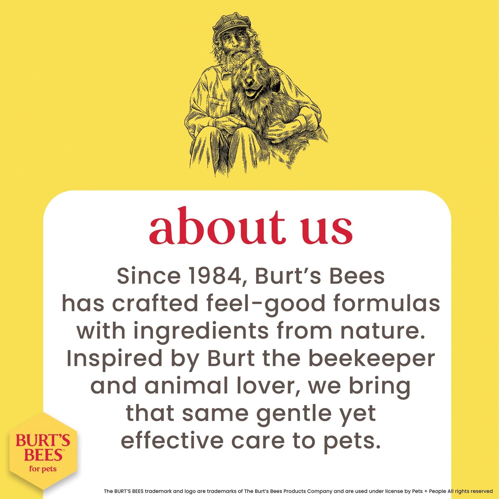 Burt's Bees for Pets double-sided dog brush with pin and hemp bristle sides, designed for grooming and brushing dogs.