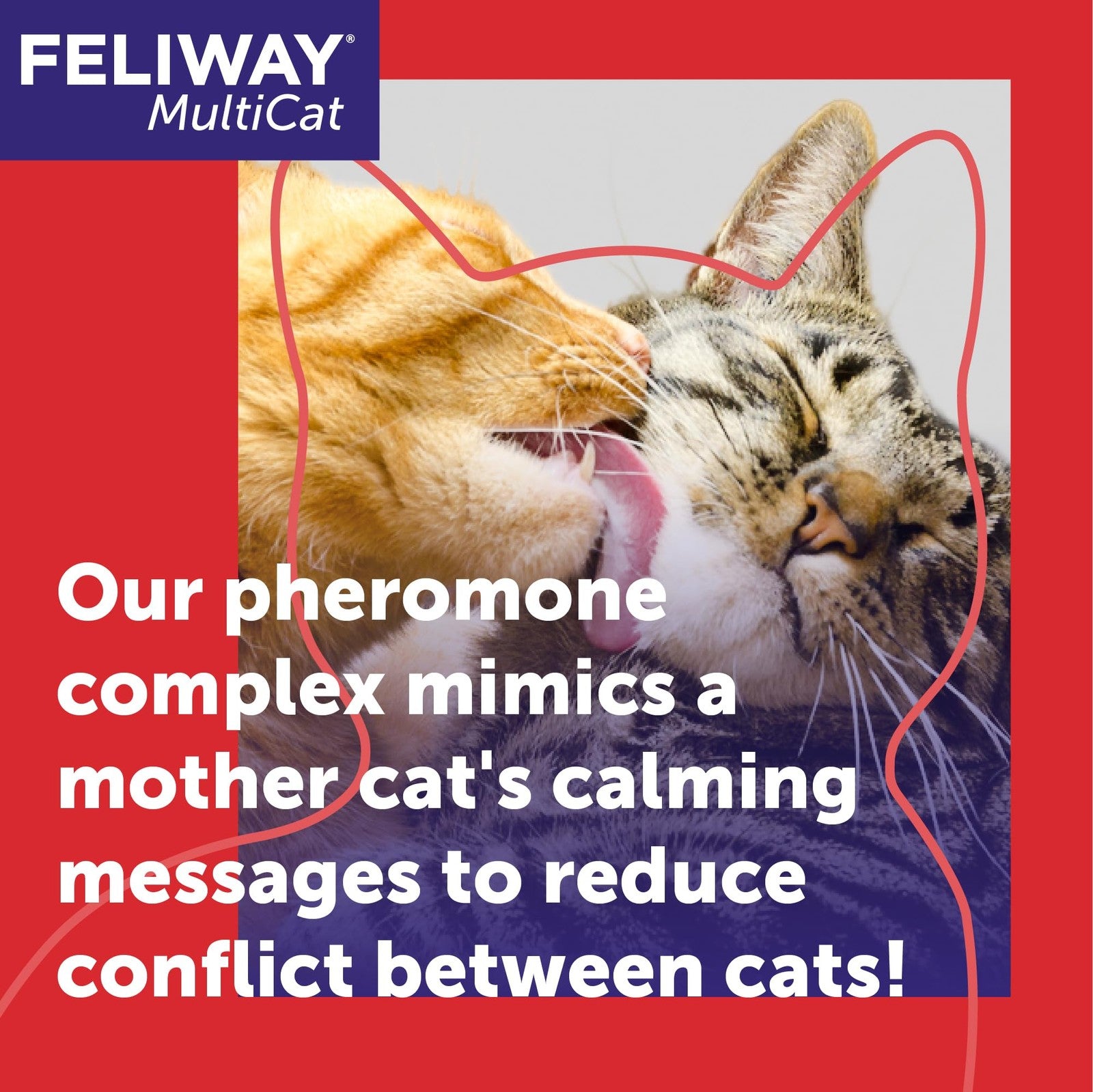 FELIWAY MultiCat calming pheromone diffuser with two refills, designed to help reduce stress in multi-cat households.
