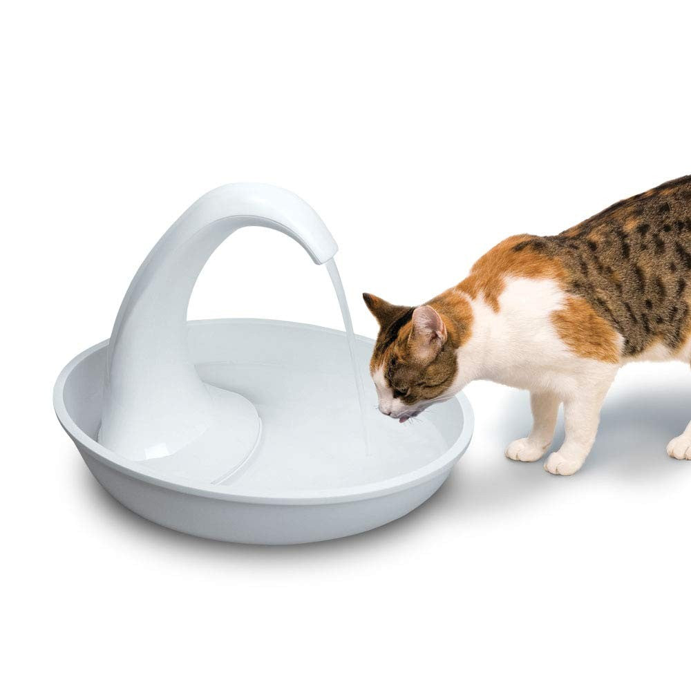 Pioneer Pet Swan pet drinking fountain for cats and dogs with 80oz capacity, featuring a sleek, modern design and water spout.