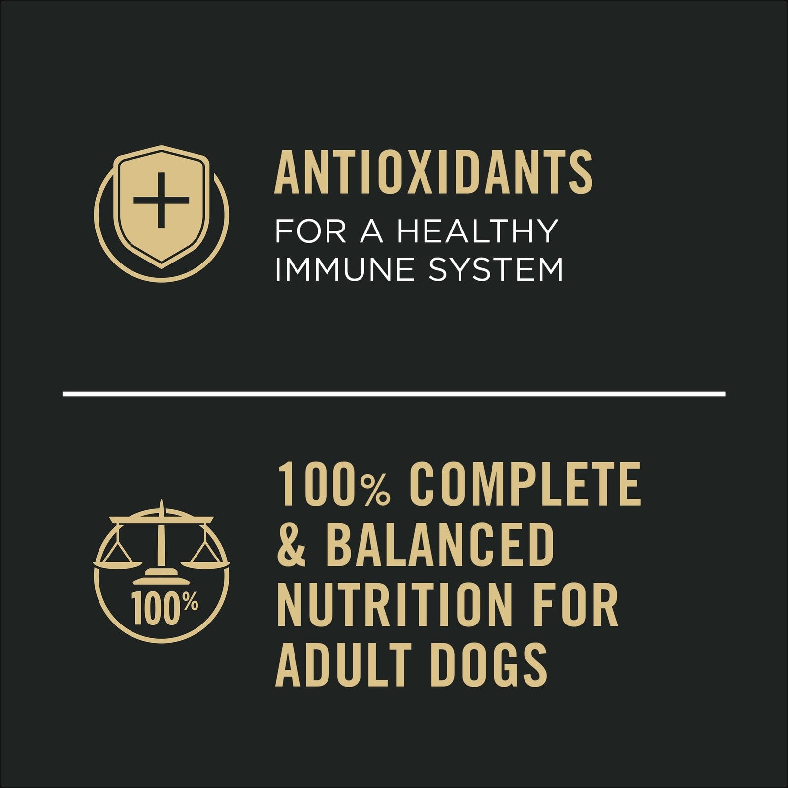 Purina Pro Plan Sport wet dog food with salmon and cod in 13oz cans, high protein formula, 12-pack for active dogs.