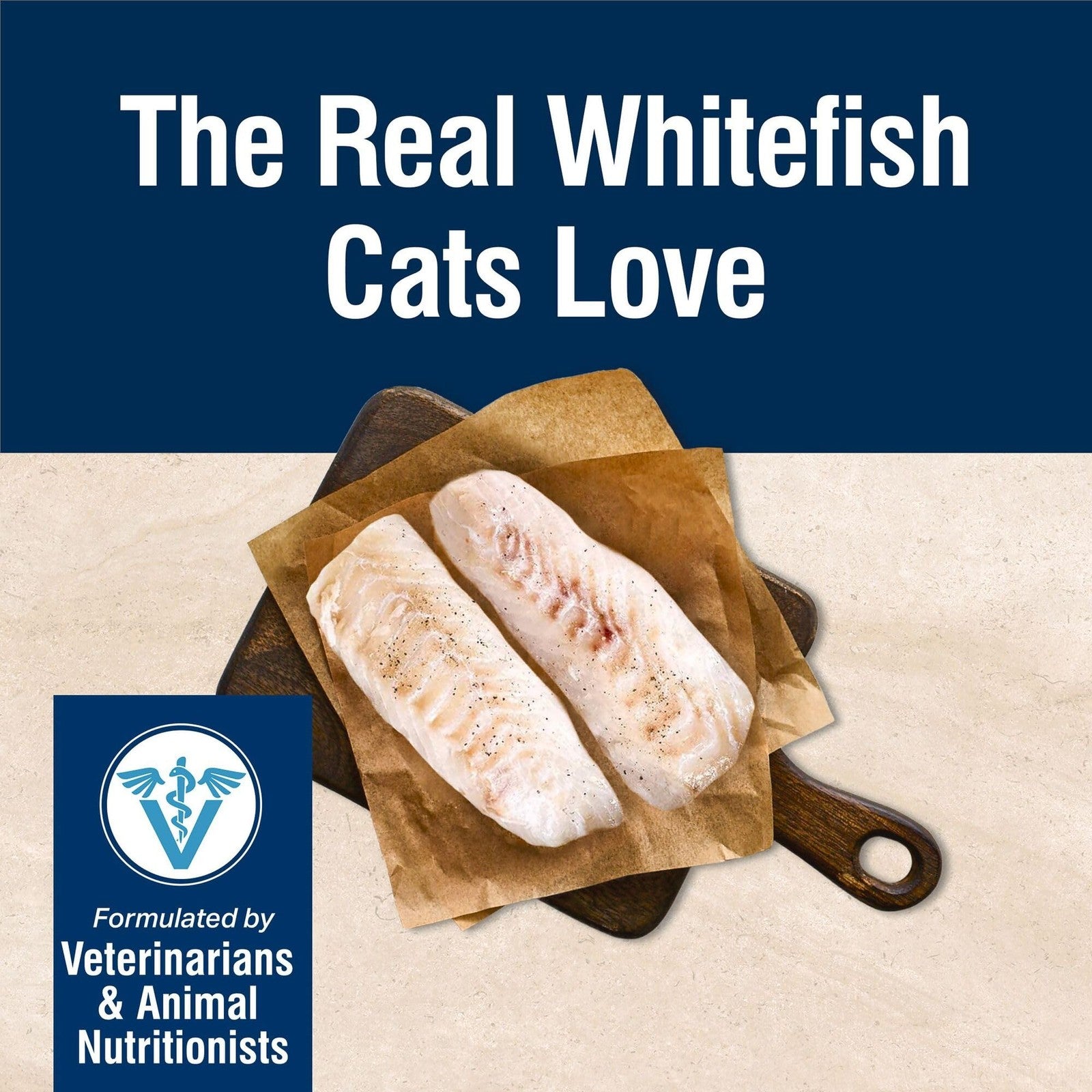 Blue Buffalo True Solutions Skin & Coat adult wet cat food with whitefish, showing the canned cat food with blue and white labeling.