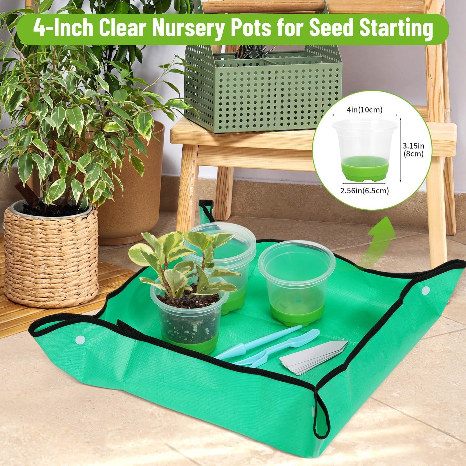 Caffox 57-piece reusable seed starter kit with 26 clear 4-inch nursery pots for planting and gardening.