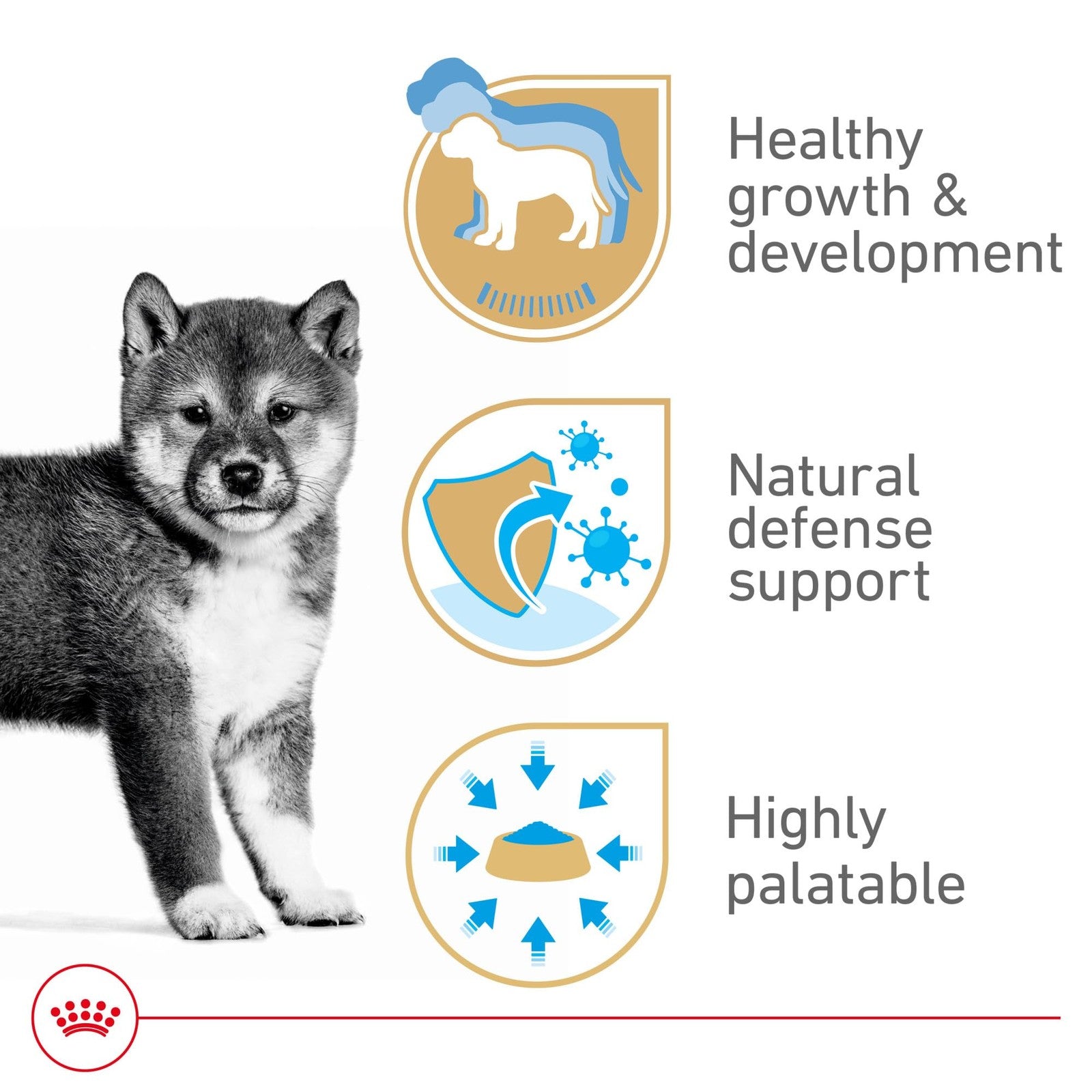 Royal Canin Canine Health Nutrition Puppy Loaf in Sauce dog food can, 5.2 oz, featuring a close-up of the moist, nutritious dog food.