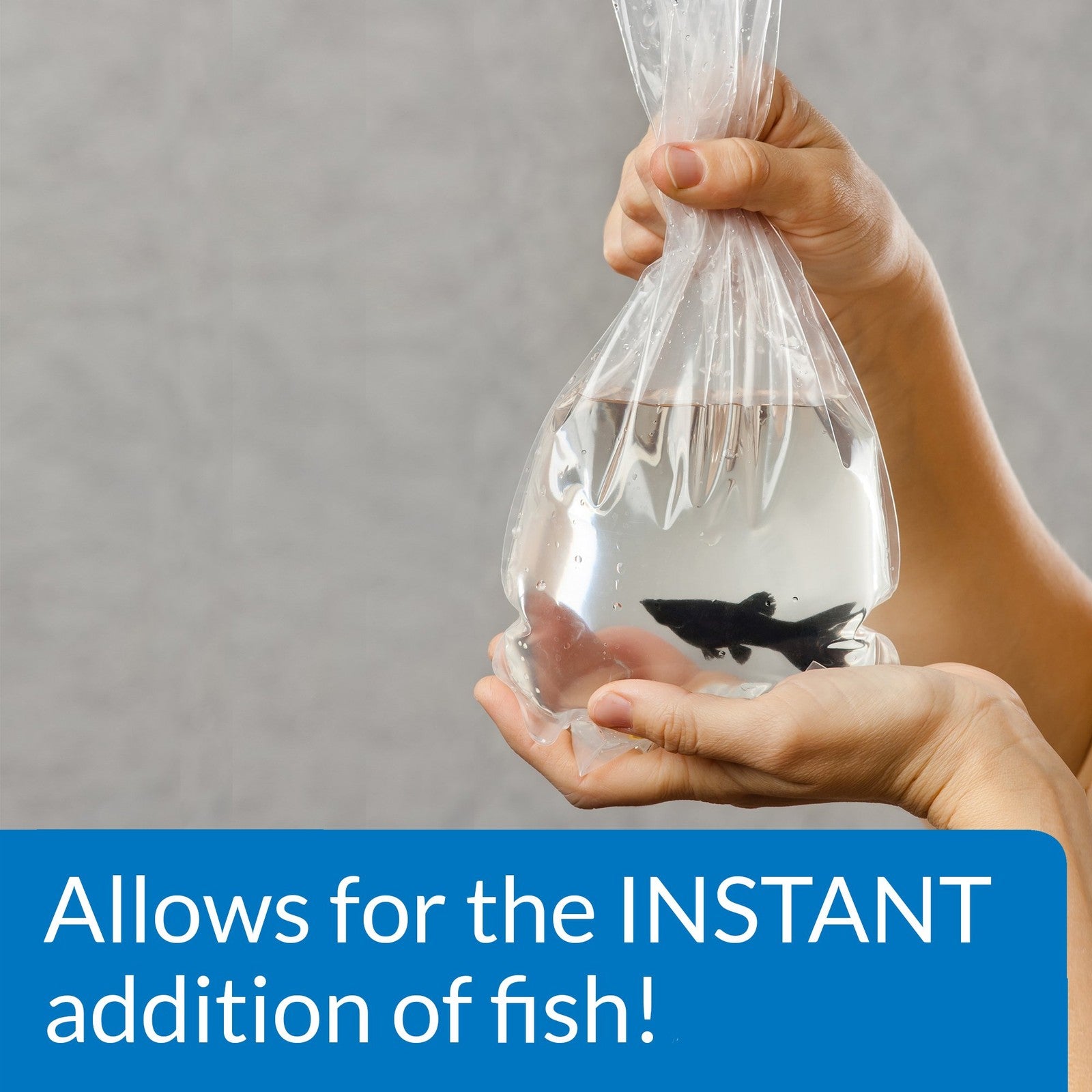 API 800-Test freshwater aquarium water master test kit with nitrifying bacteria, showing test tubes and water samples.