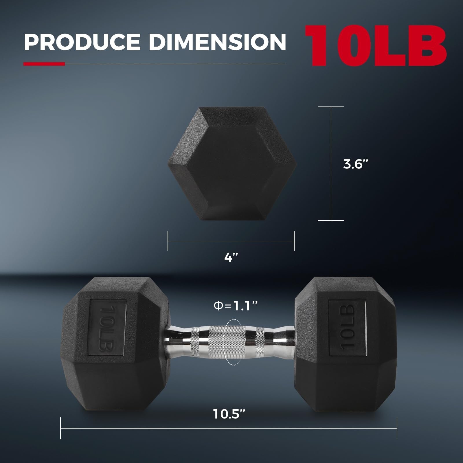 Pair of RitFit 10Lb rubber-encased dumbbells with a black workout rack, suitable for strength training and home gym use.