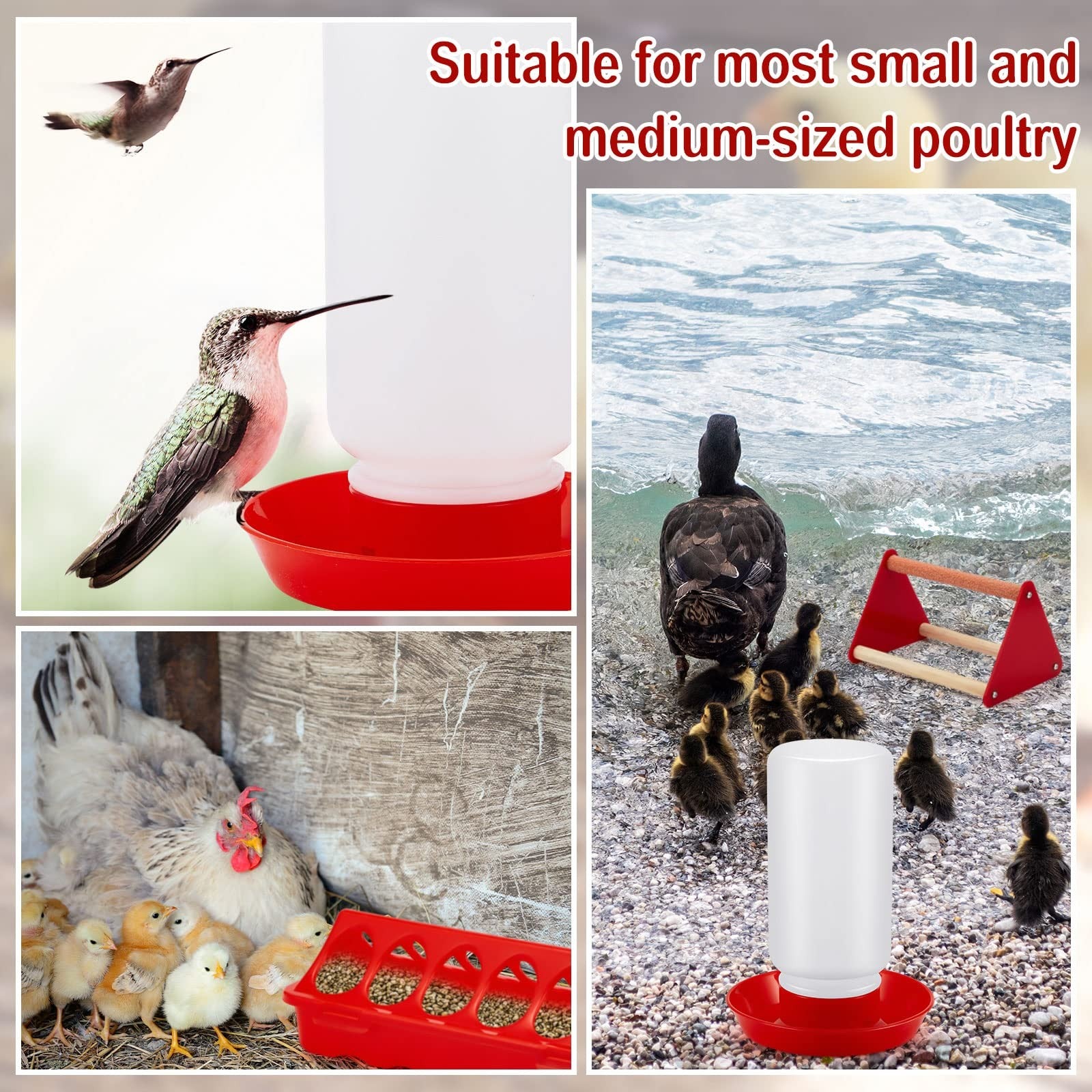Patelai 12-piece chick feeder and waterer kit with mini perches, ideal feeding supplies for young chickens and poultry.
