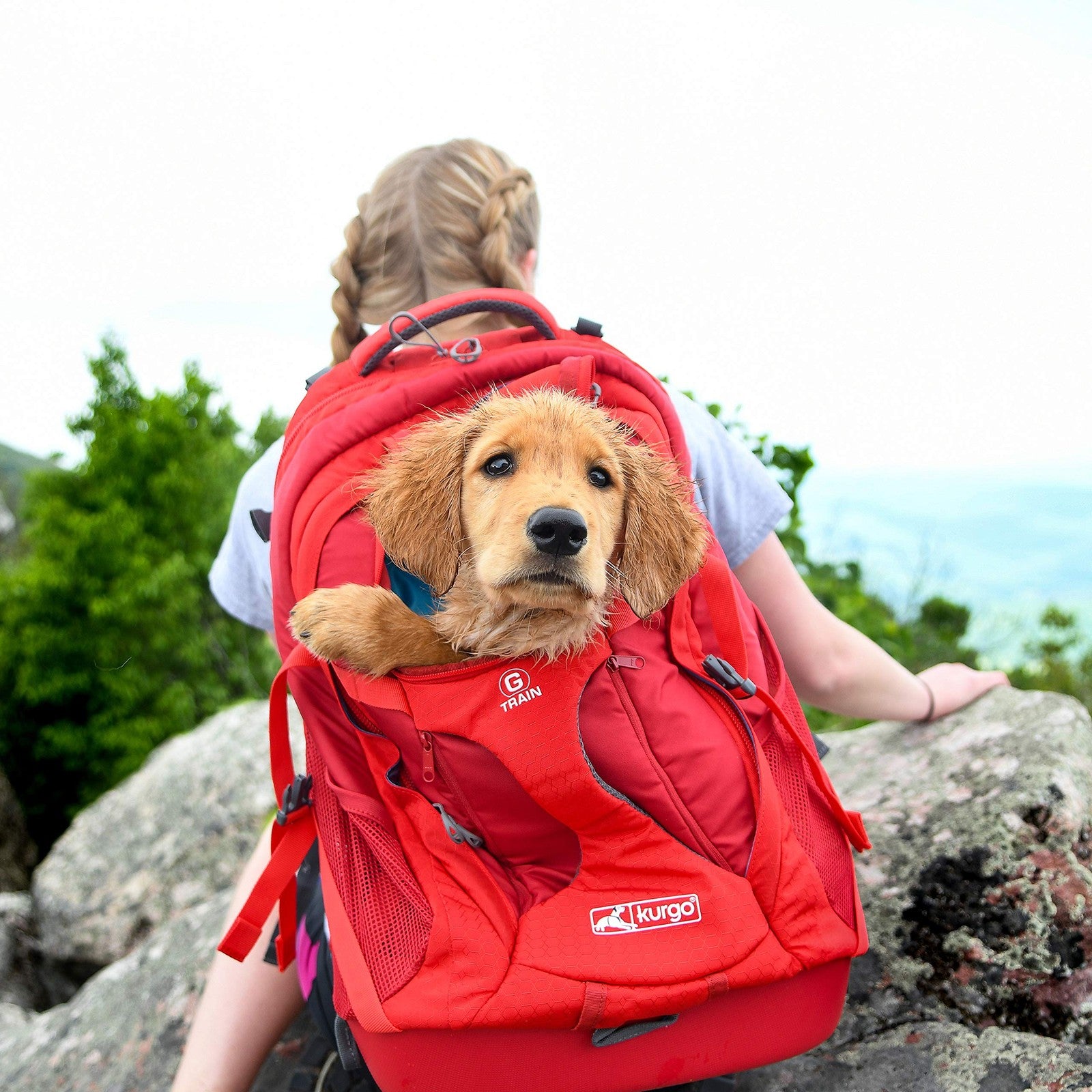 Kurgo G-Train dog carrier backpack with padded straps and mesh panels for comfortable pet travel up to 25 pounds.