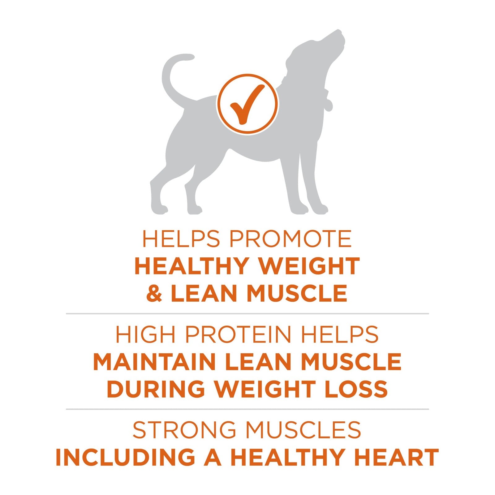Purina ONE +Plus Healthy Weight high-protein dry dog food in a 31.1 lb bag, featuring a dog bowl with kibble and fresh ingredients.