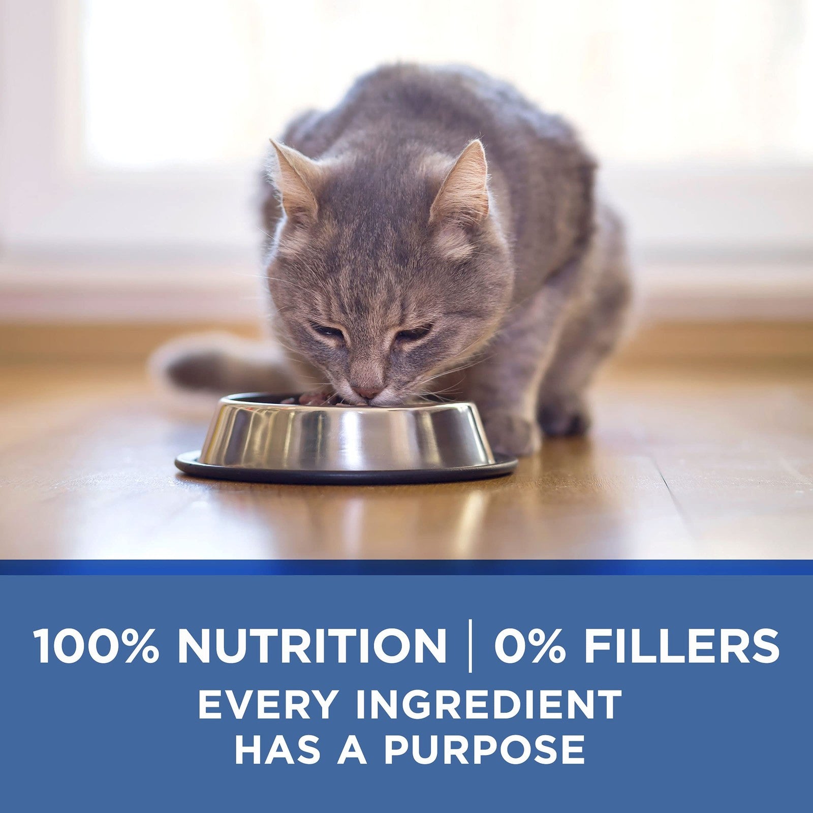 Canned Purina ONE Grain Free Senior Pate Cat Food for mature cats, showing a bowl of moist, natural cat food for ages 7+.