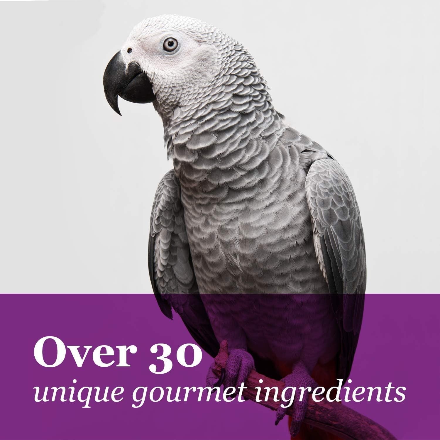 F.M. Brown's Tropical Carnival Tropical Carnival Gourmet Macaw Food Big Bites in a 5 lb bag, featuring colorful bird food for macaws