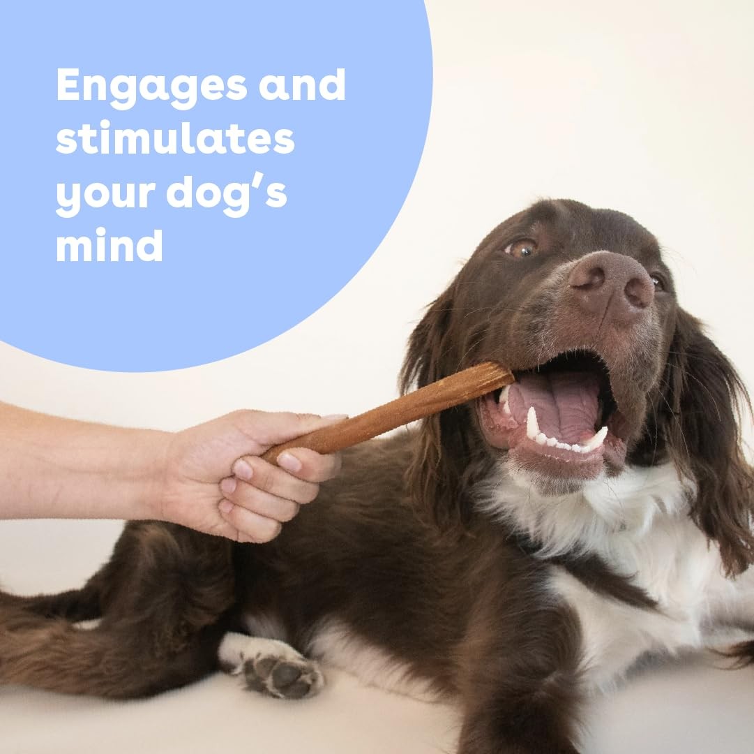 Pupford Collagen Stick Chews for dogs and puppies, all-natural healthy bully sticks in a pile of chew treats.