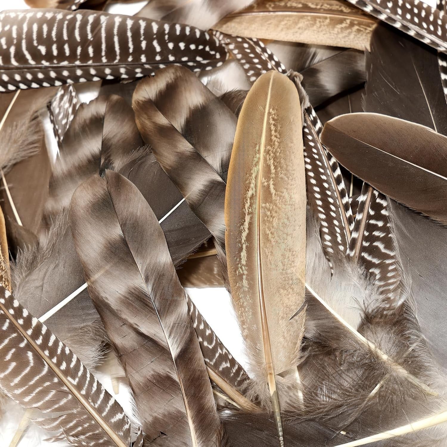 THARAHT 24-piece natural spotted guinea fowl wing feathers, 6-8 inches, showcasing black and white speckled pattern.