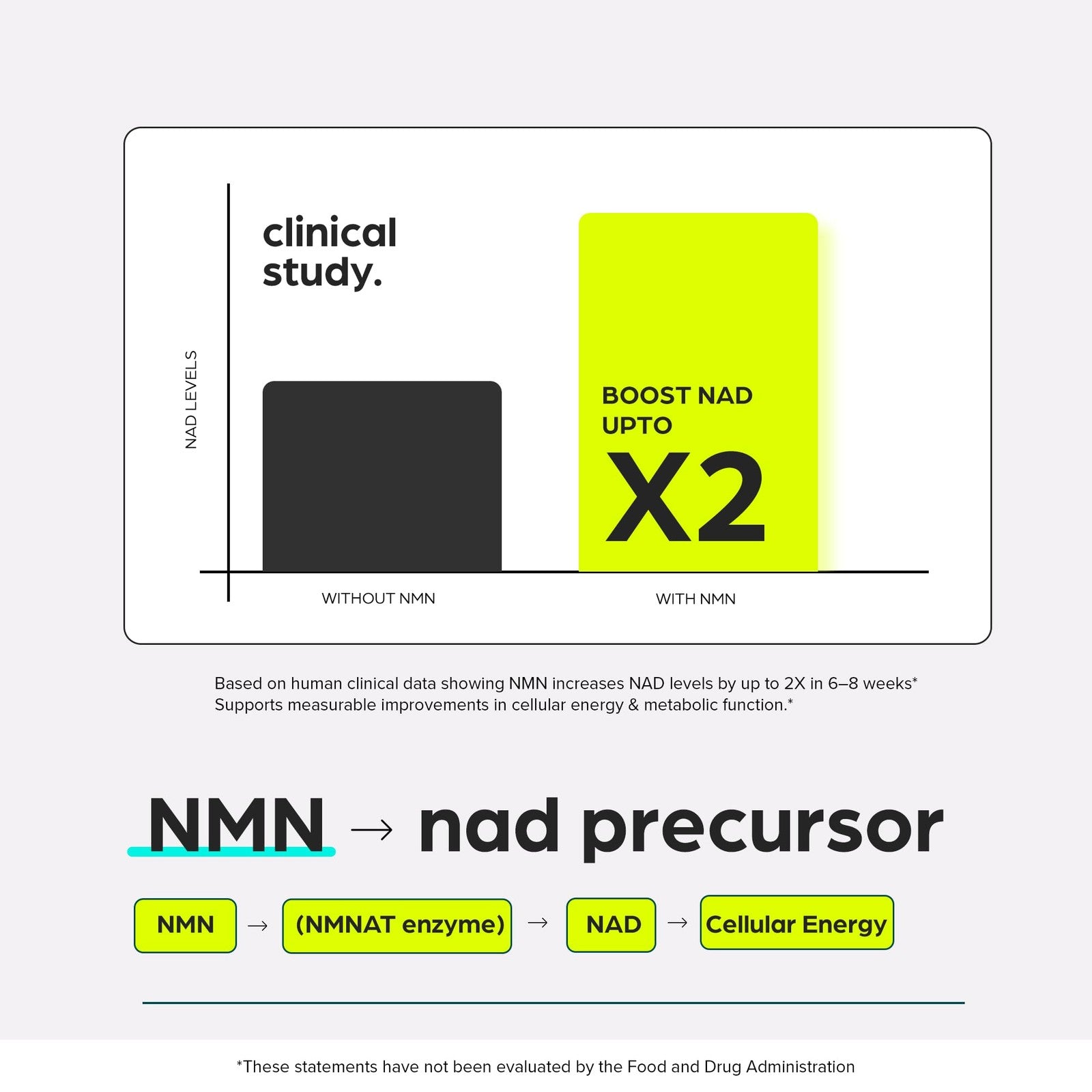 Thinbi NMN supplement bottle showing 8957mg with NAD+, Urolithin A, and Resveratrol, emphasizing its health-boosting ingredients.