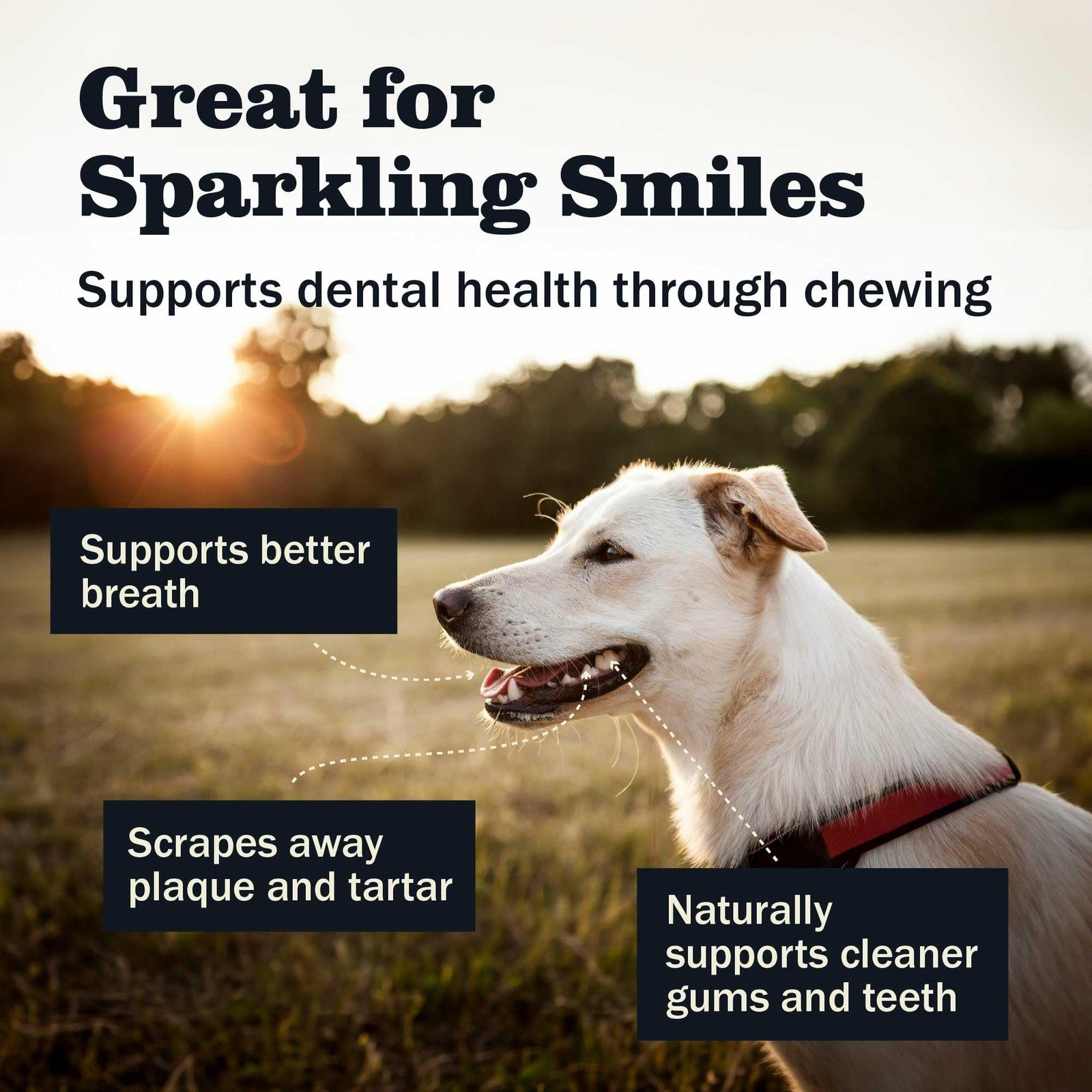 Redbarn Pet Products all-natural 4-5 inch bully sticks for small and medium dogs, shown in this image.