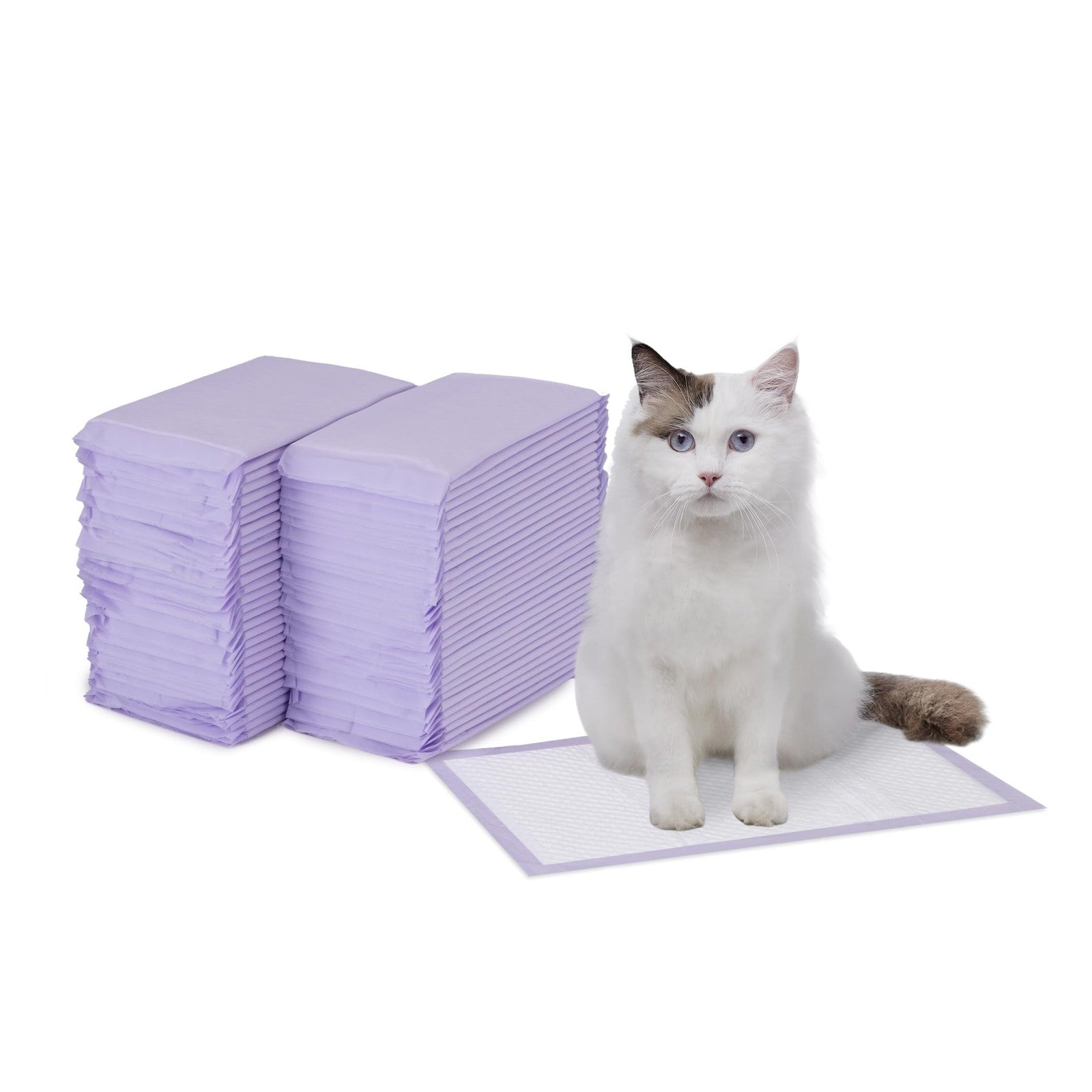 Amazon Basics cat pee pads with odor control and super absorbency, disposable and universal for easy use.