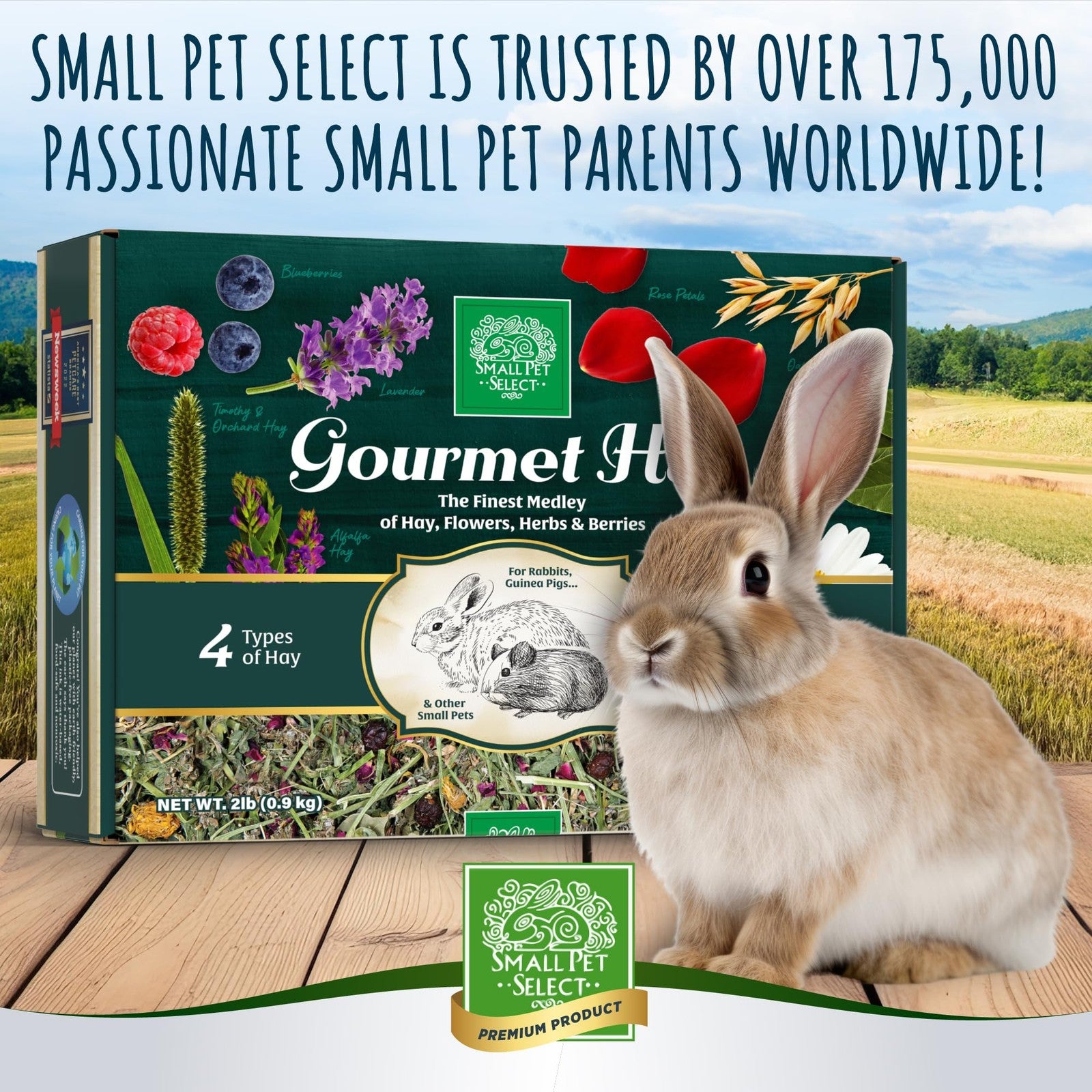 Small Pet Select gourmet hay pet food with dried flowers and herbs, ideal for small pets’ healthy, natural treat.
