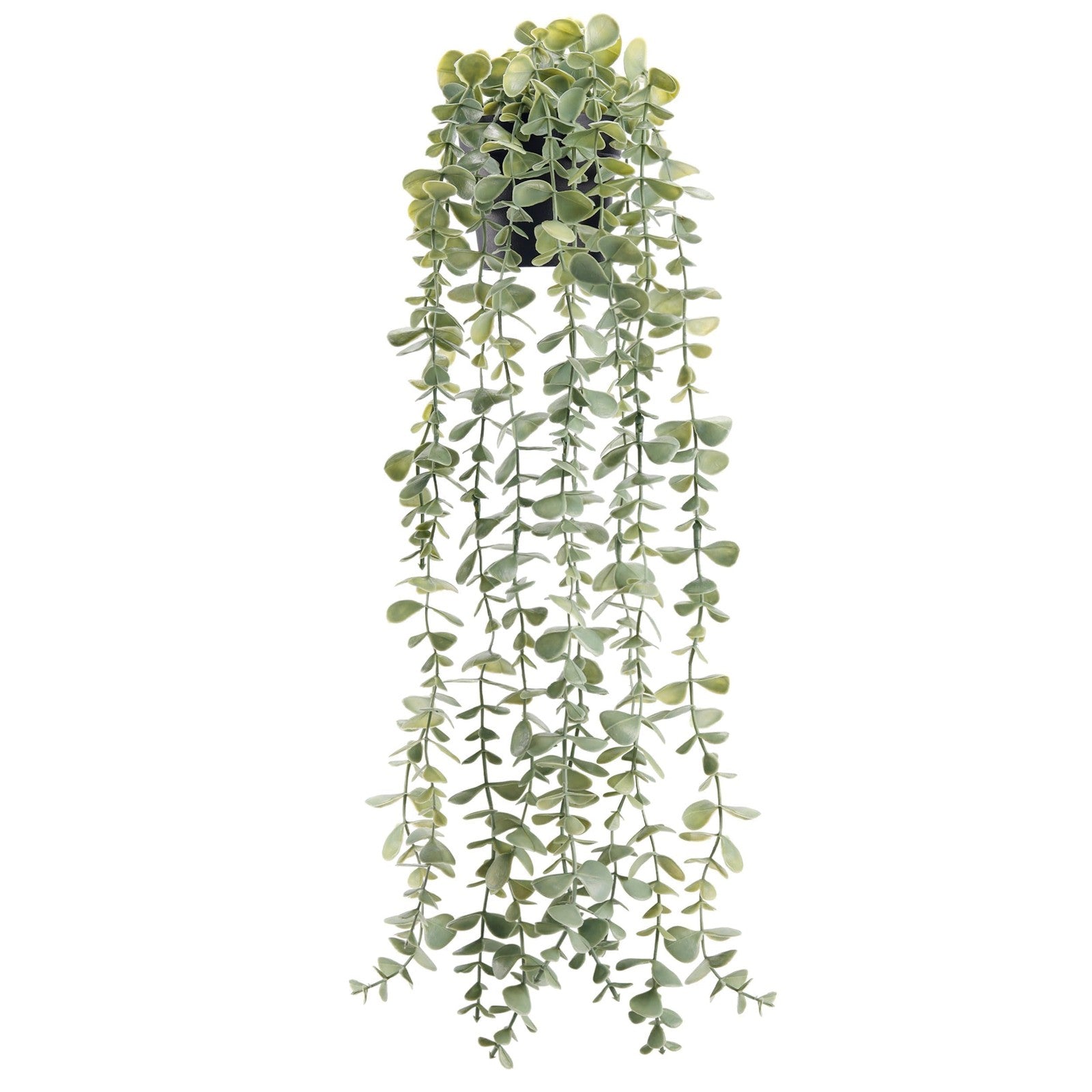 Artificial hanging eucalyptus plant by Der Rose, showcasing lush green eucalyptus leaves for modern boho farmhouse decor.