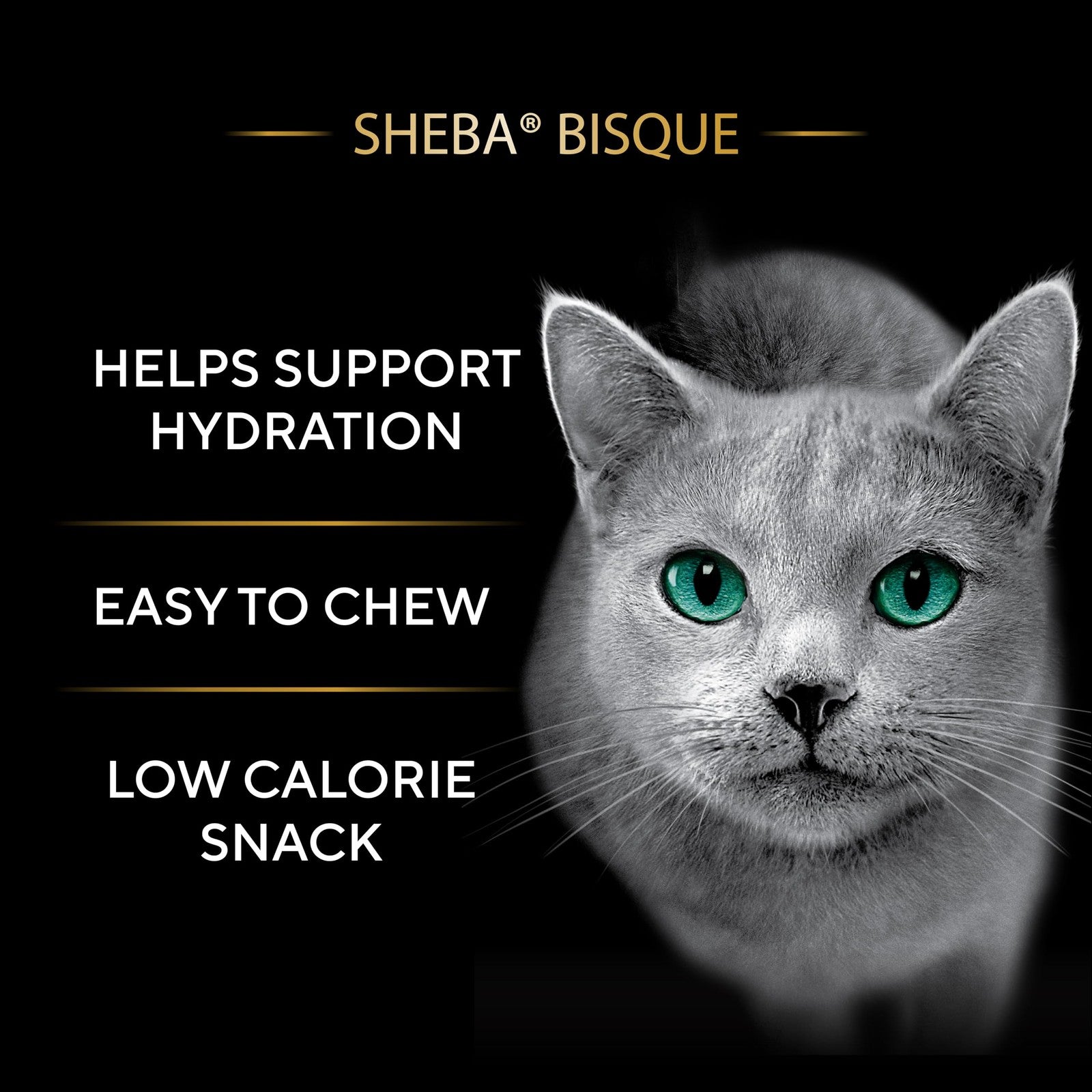 Sheba Bisque lickable cat treats and food toppers with chicken, tuna, and salmon flavors in a clear container.
