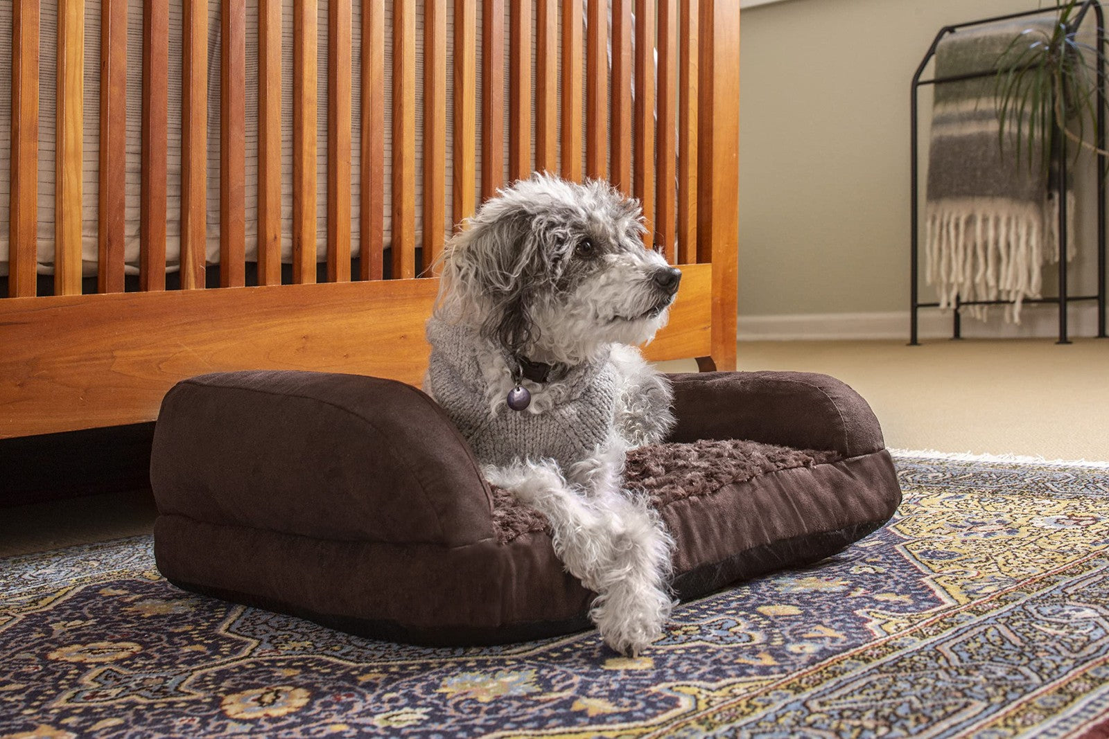 New Age Pet Buddy's 2.5-inch thick memory foam dog bed cushion with soft fabric cover, designed for comfort and support.