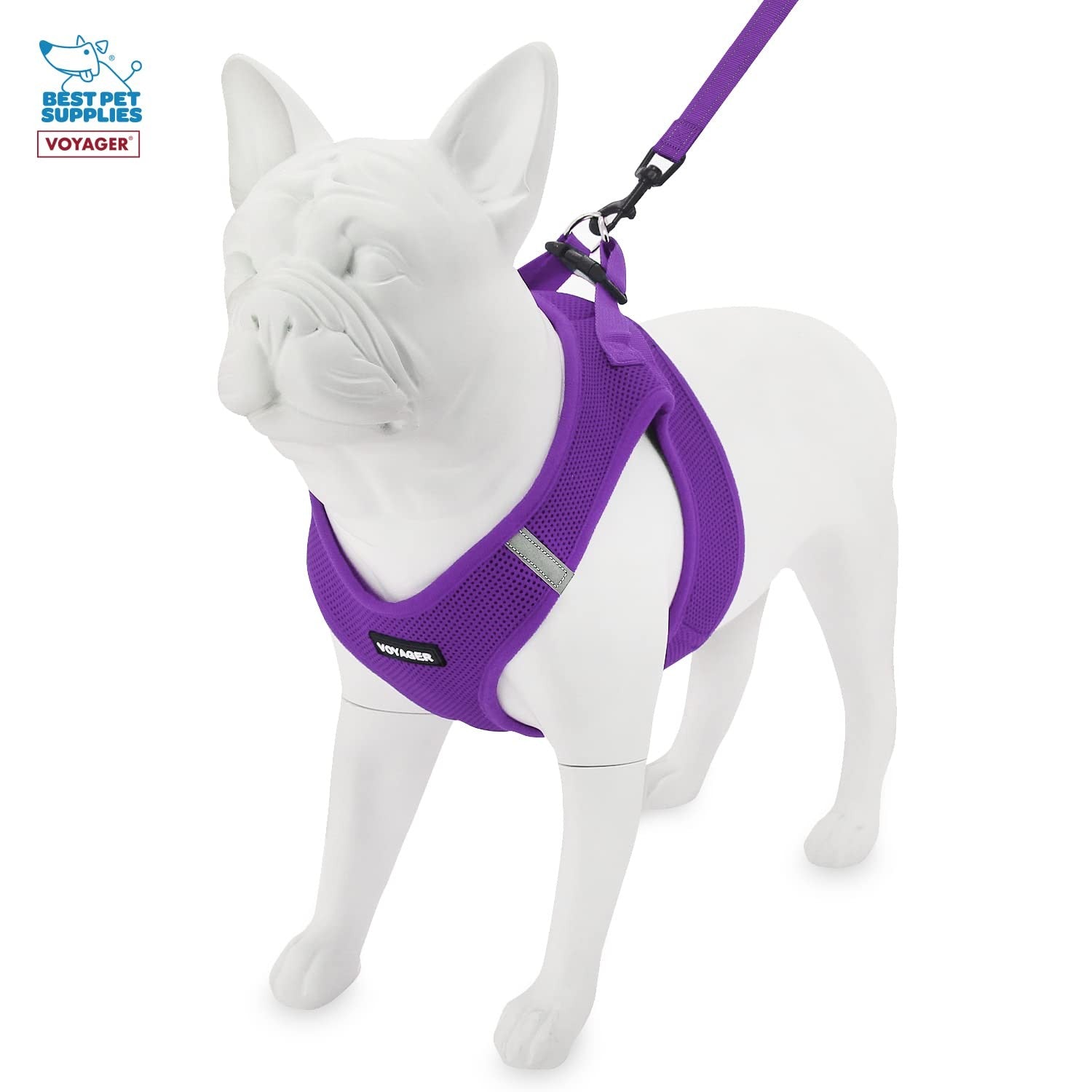 Best Pet Supplies Voyager Step-in Air Mesh Dog Harness with reflective leash, showcasing breathable mesh and secure fit for outdoor walks.