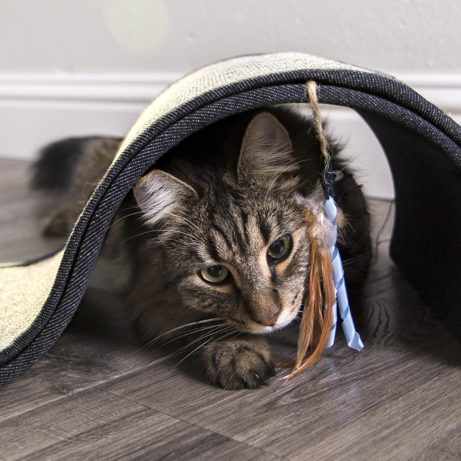 Petlinks Dream Curl cat scratcher with dual-surface sisal and lounge area, infused with catnip for feline comfort and entertainment.