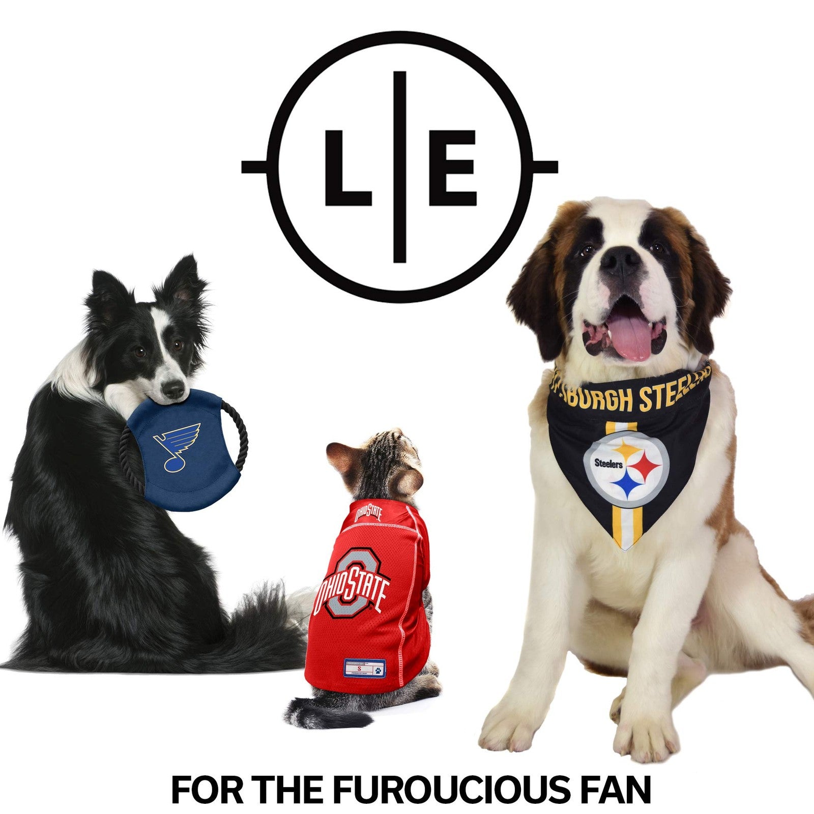 Unisex NFL Chicago Bears pet hooded crewneck sweatshirt by Littlearth, X-Small size, featuring team logo and cozy fabric.