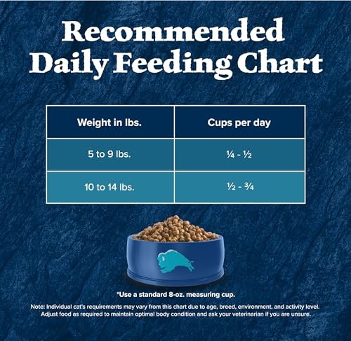 Blue Buffalo Wilderness high protein grain free dry cat food with salmon, featuring a bag of Blue Wilderness cat food on a white background.