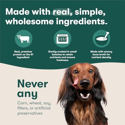 Jinx Wet Dog Food Topper Bundle with 9oz chicken and beef Homemades for dogs, shown in containers with fresh ingredients.
