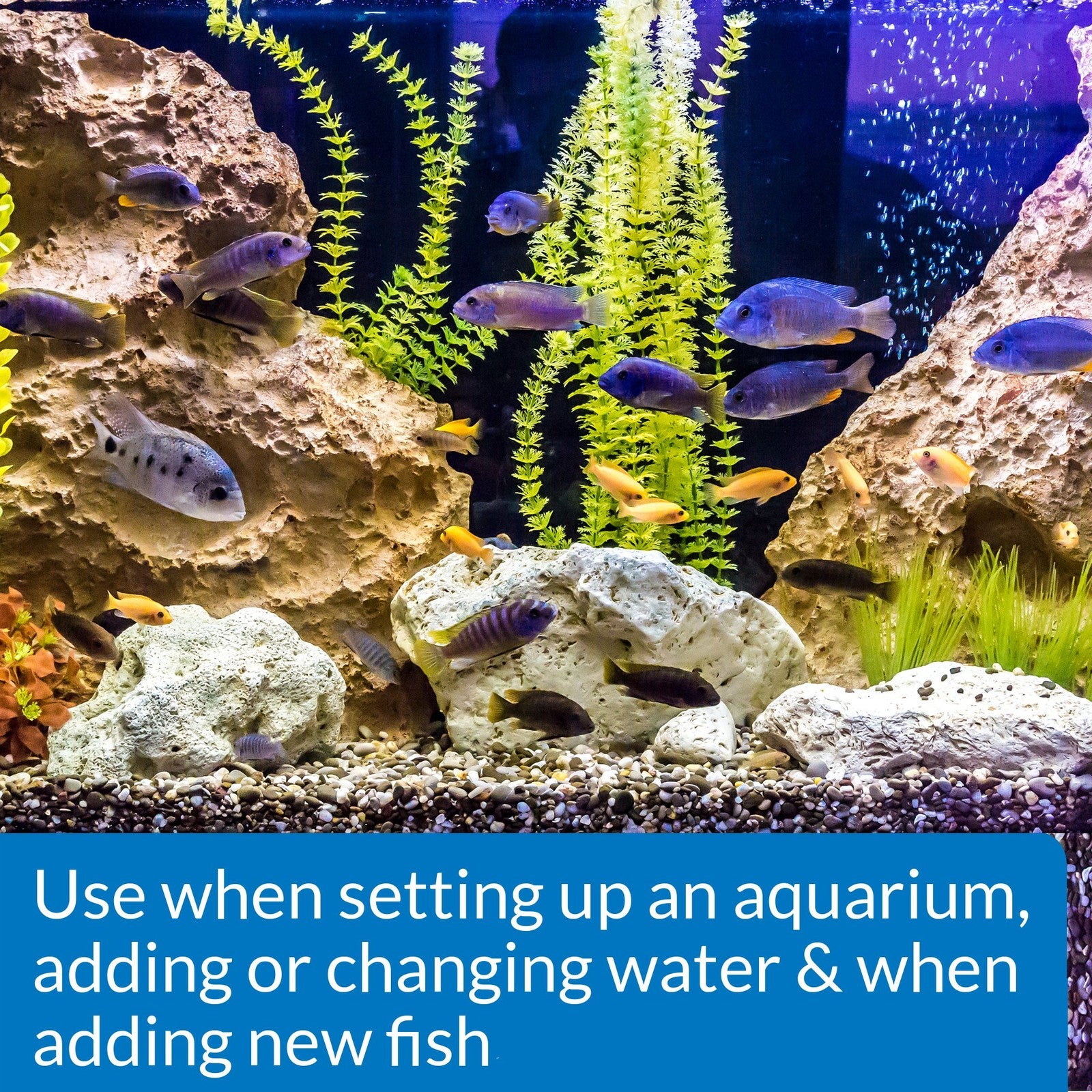 API 800-Test Freshwater Aquarium Water Test Kit with nitrifying bacteria, showing test tubes and testing components.