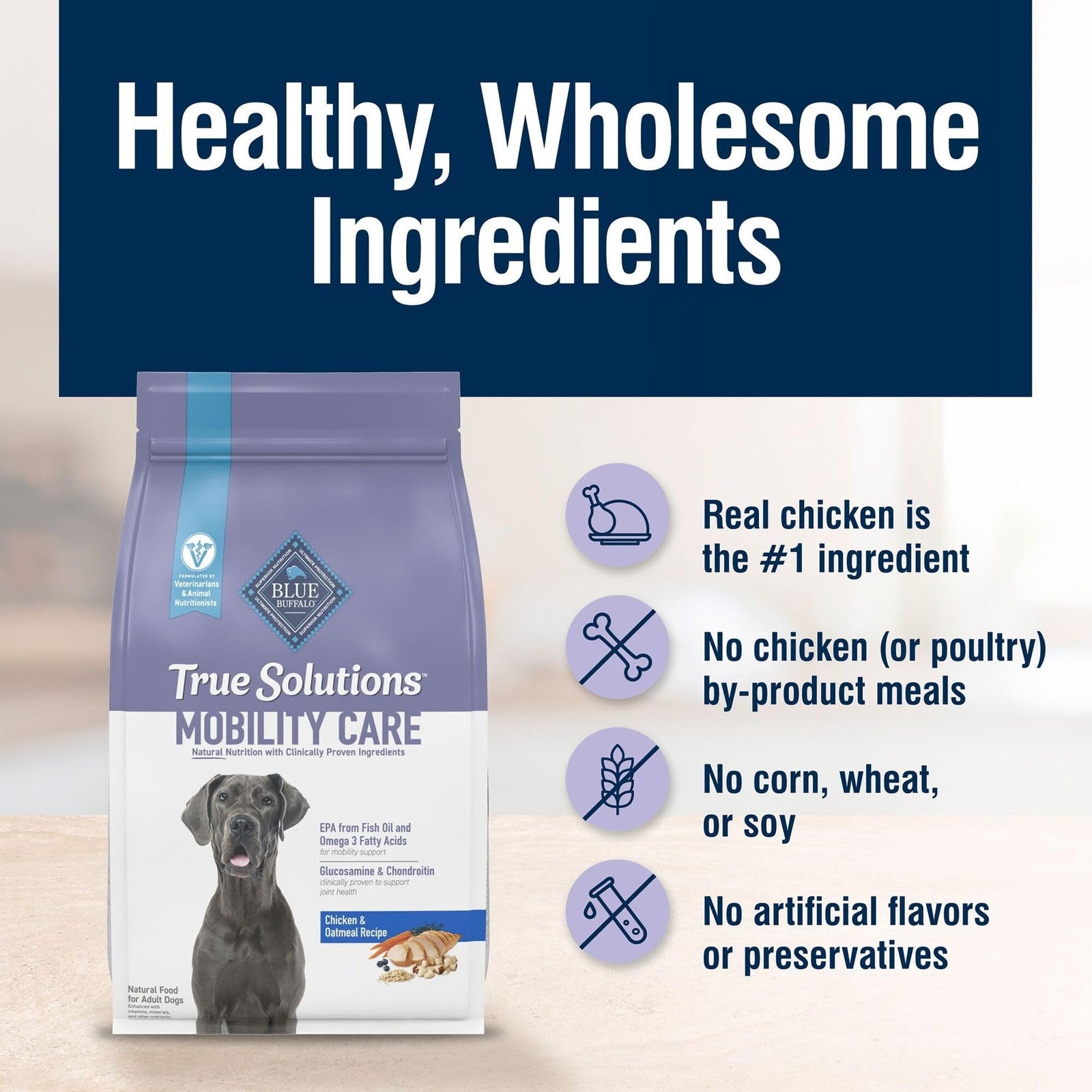 Blue Buffalo True Solutions Mobility Care natural dry dog food for adult dogs, shown in a close-up of the kibble.