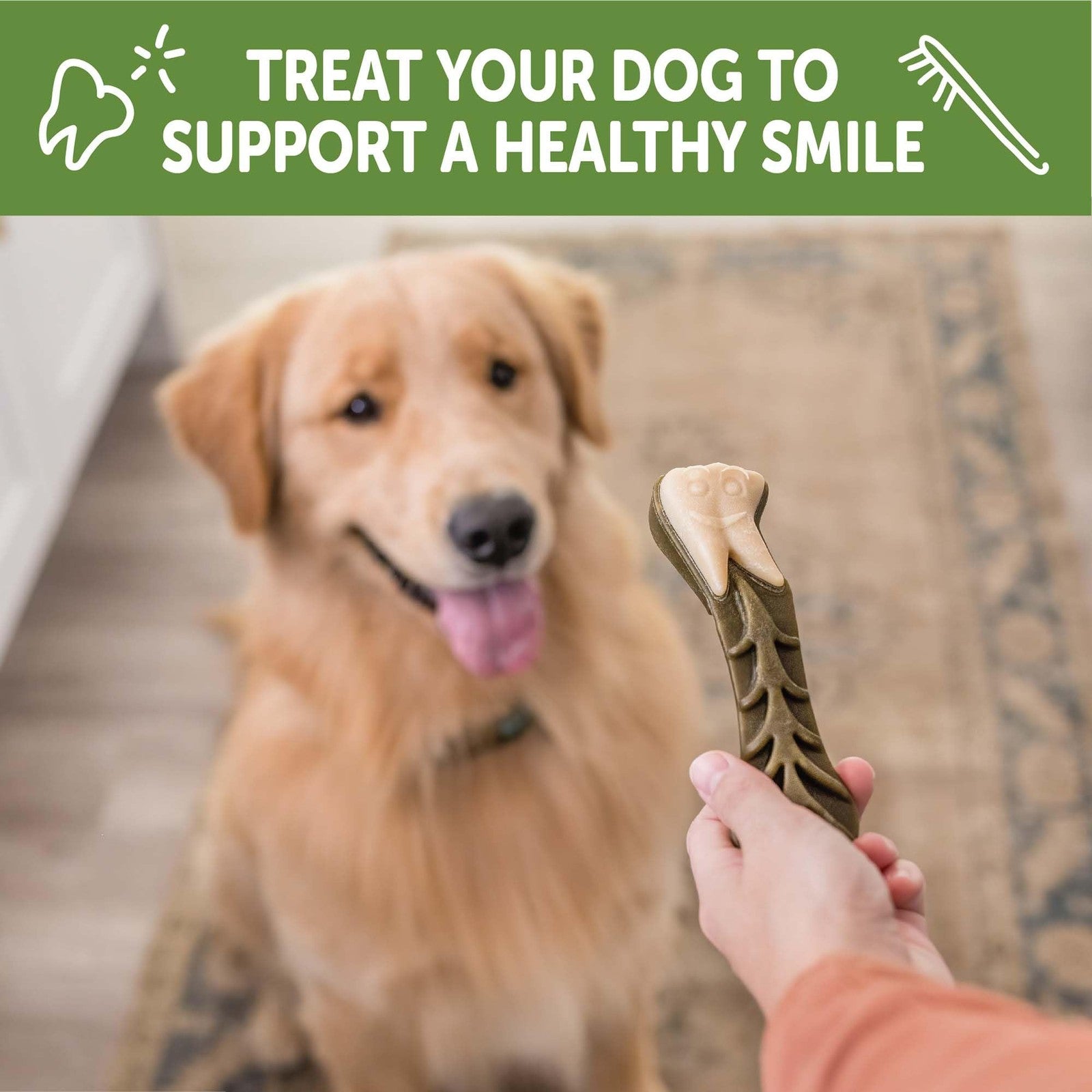 Wellness WHIMZEES X-Large Dog Dental Treats Value Box with 15 treats, natural dental chews for large dogs, healthy oral care.