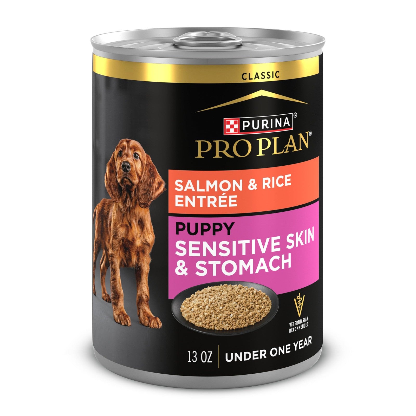 Cans of Purina Pro Plan Puppy Classic Wet Dog Food with salmon and rice in a 12-pack, showing the product packaging and labels