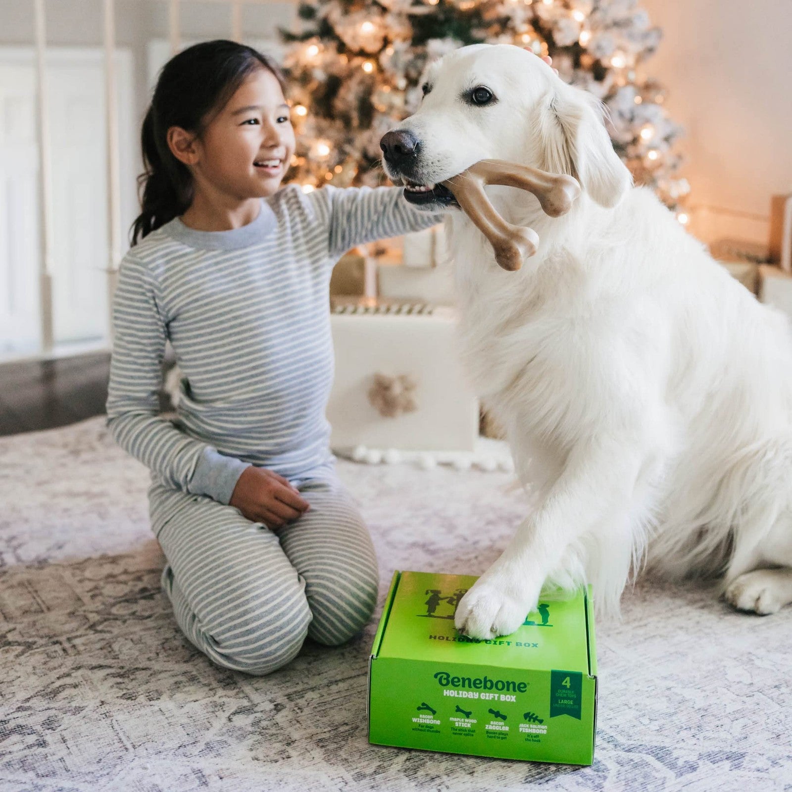 Benebone medium holiday dog chew toys for aggressive chewers, durable dental chews in festive shapes, ideal for dogs' play and dental health.