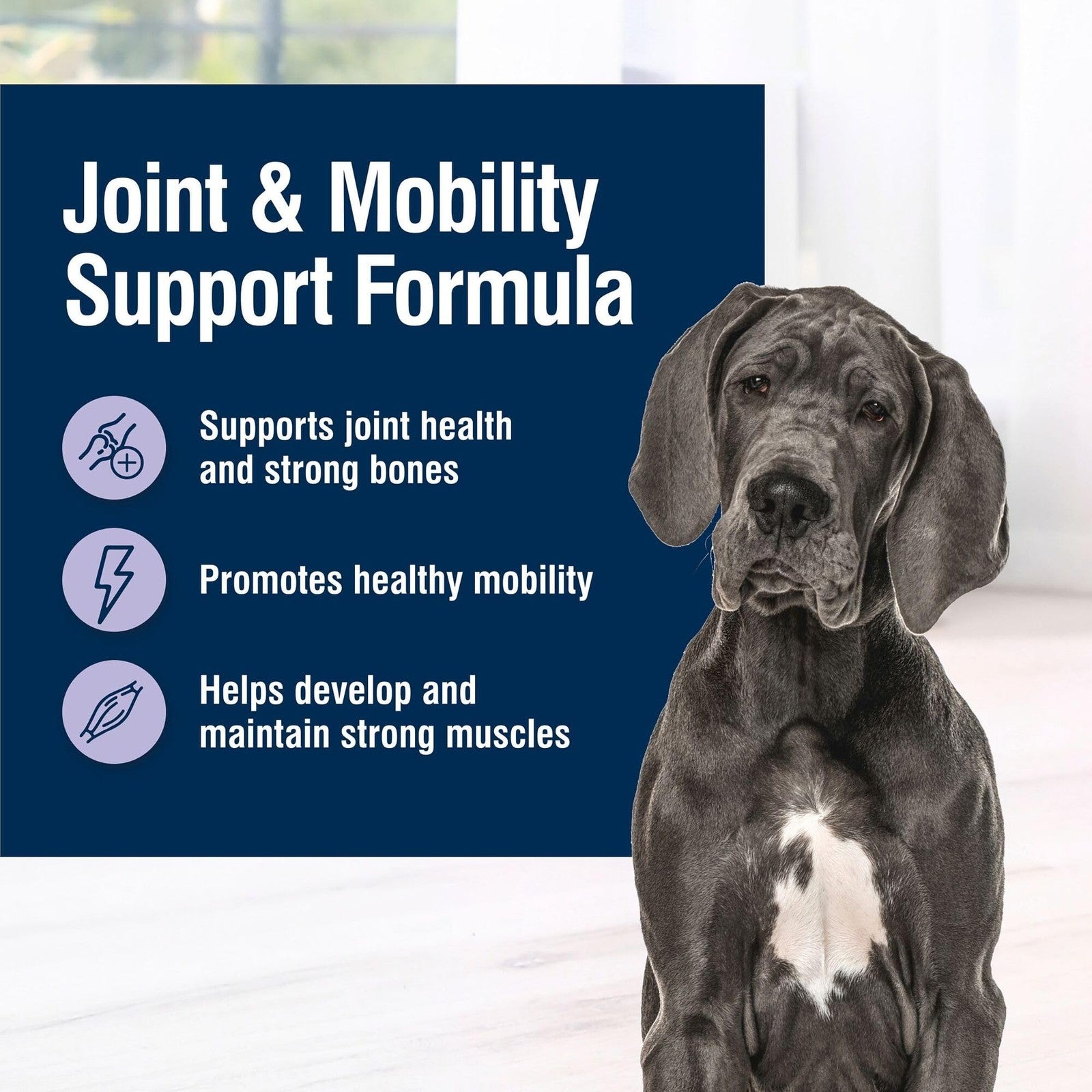 Blue Buffalo True Solutions Mobility Care wet dog food for adult dogs, showing a can of Blue Buffalo dog food with a blue label.