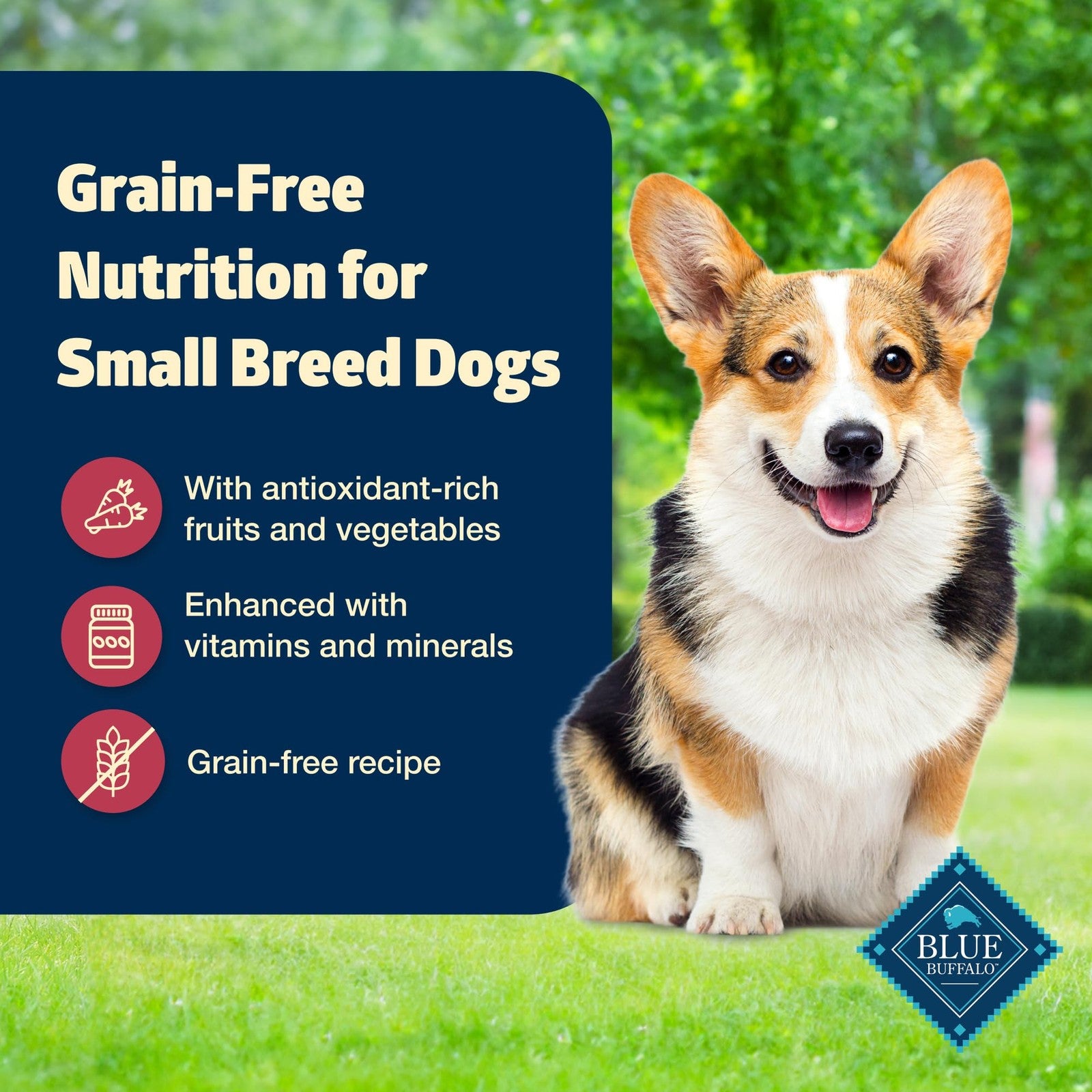 Canned Blue Buffalo Freedom grain-free adult small breed dog food with chicken in a bowl, showcasing the wet dog food texture.