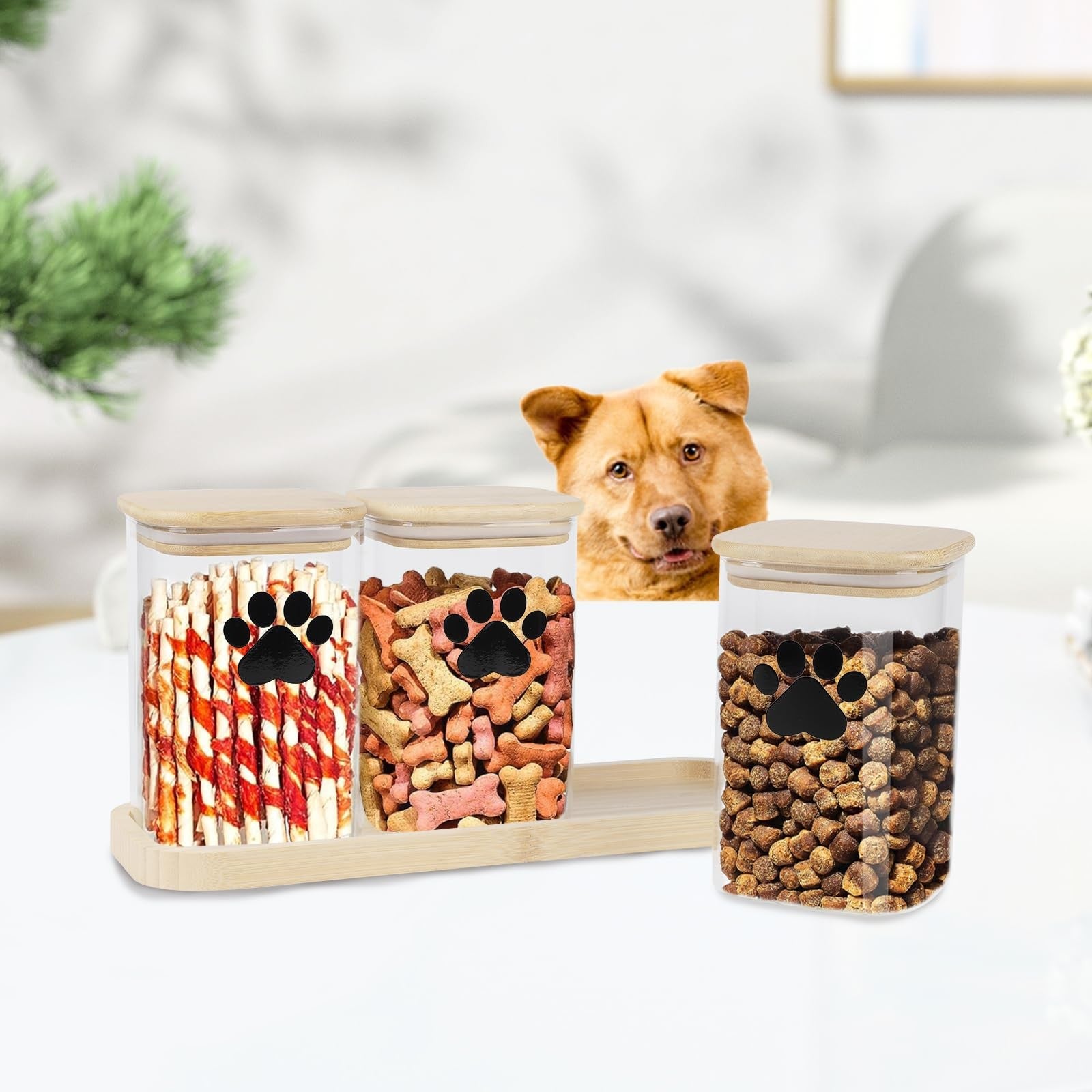 Set of three clear Brabtod 37oz glass dog treat jars with bamboo lids, ideal for storing dog treats and snacks.