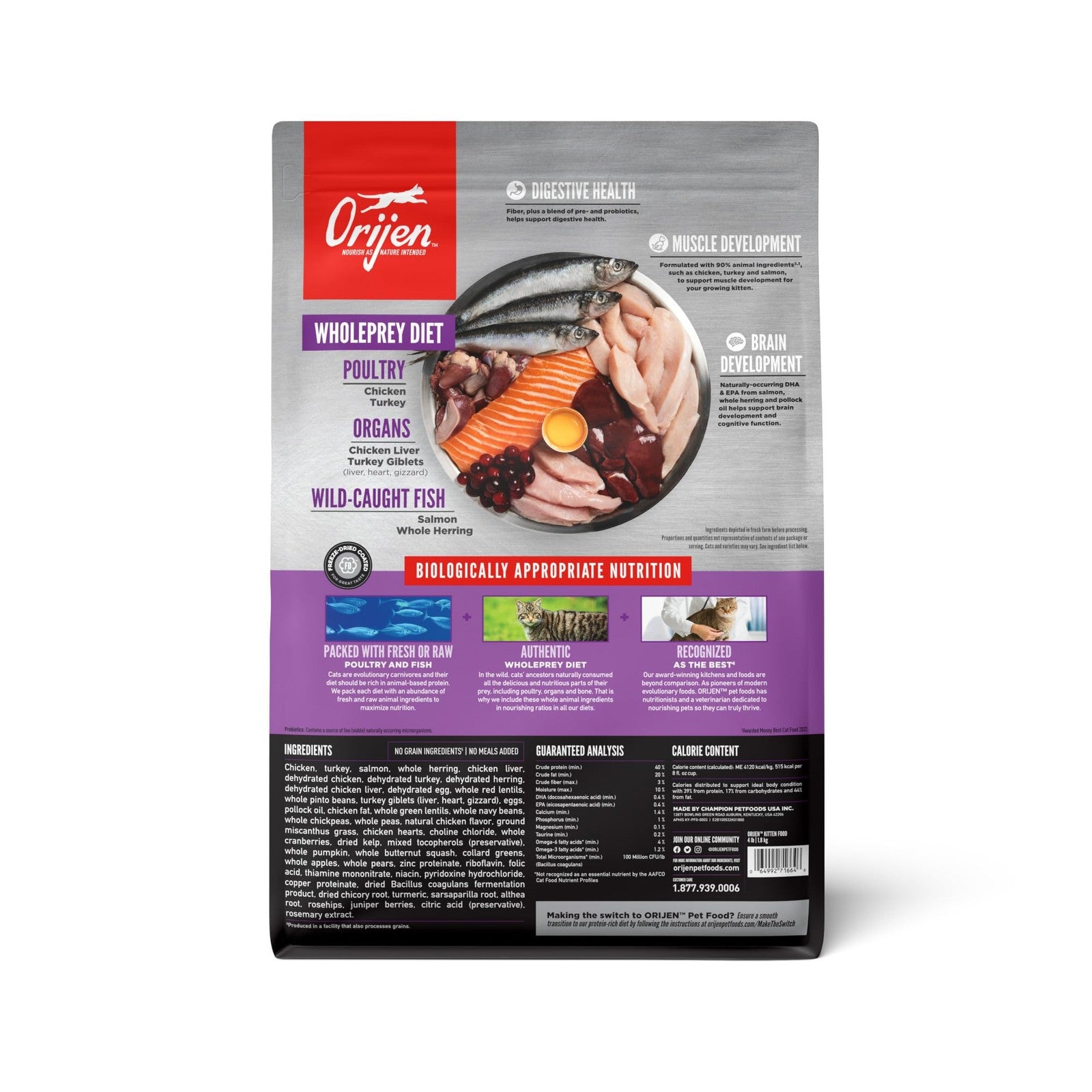 ORIJEN Grain-Free High Protein Cat Food Kitten Recipe in a 4lb bag, featuring premium dry cat food with natural ingredients for kittens.