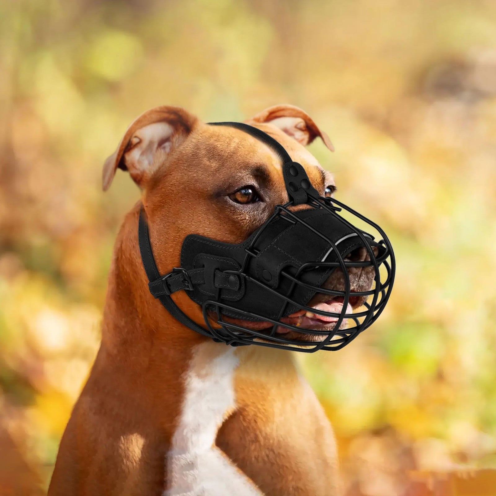 OOPSDOGGY metal pitbull dog muzzle with reflective leather straps and secure wire basket design, shown on a dog.