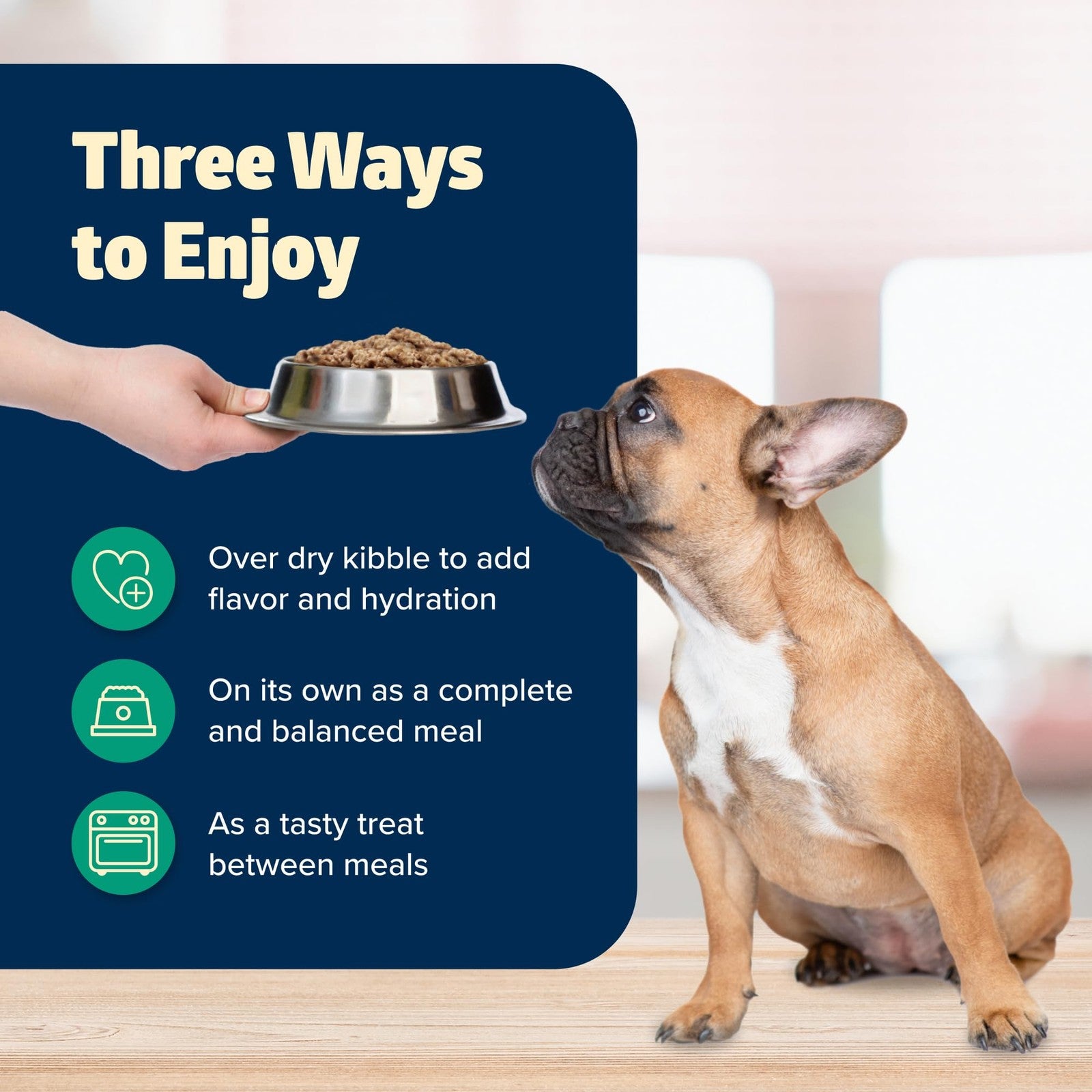 Blue Buffalo Freedom grain-free wet dog food cans with lamb flavor, 12.5 oz each, 12-pack, showing the canned dog food product.