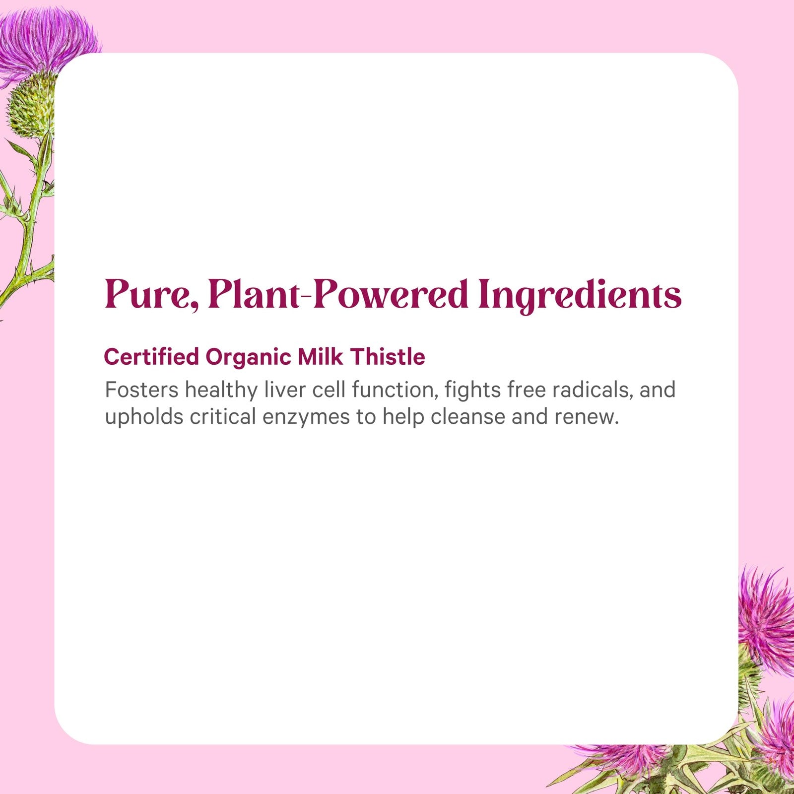 Bottle of PURE SYNERGY SuperPure Milk Thistle Extract supplement for liver detox, with supplement capsules and herbal labeling.