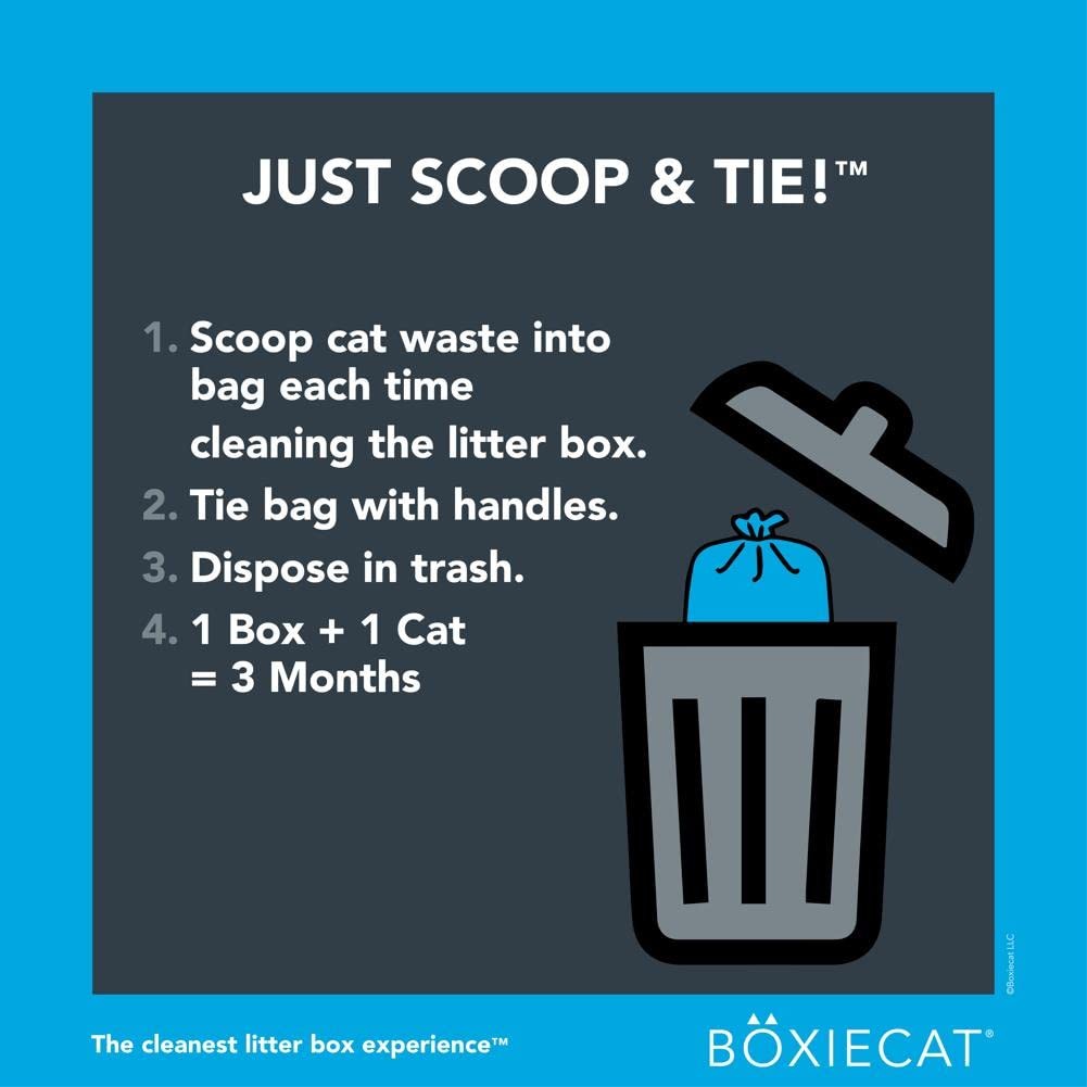 BoxieCat clumping clay cat litter 16 lb with cleanup bundle, showing the premium clumping clay and cleanup tools for easy maintenance.