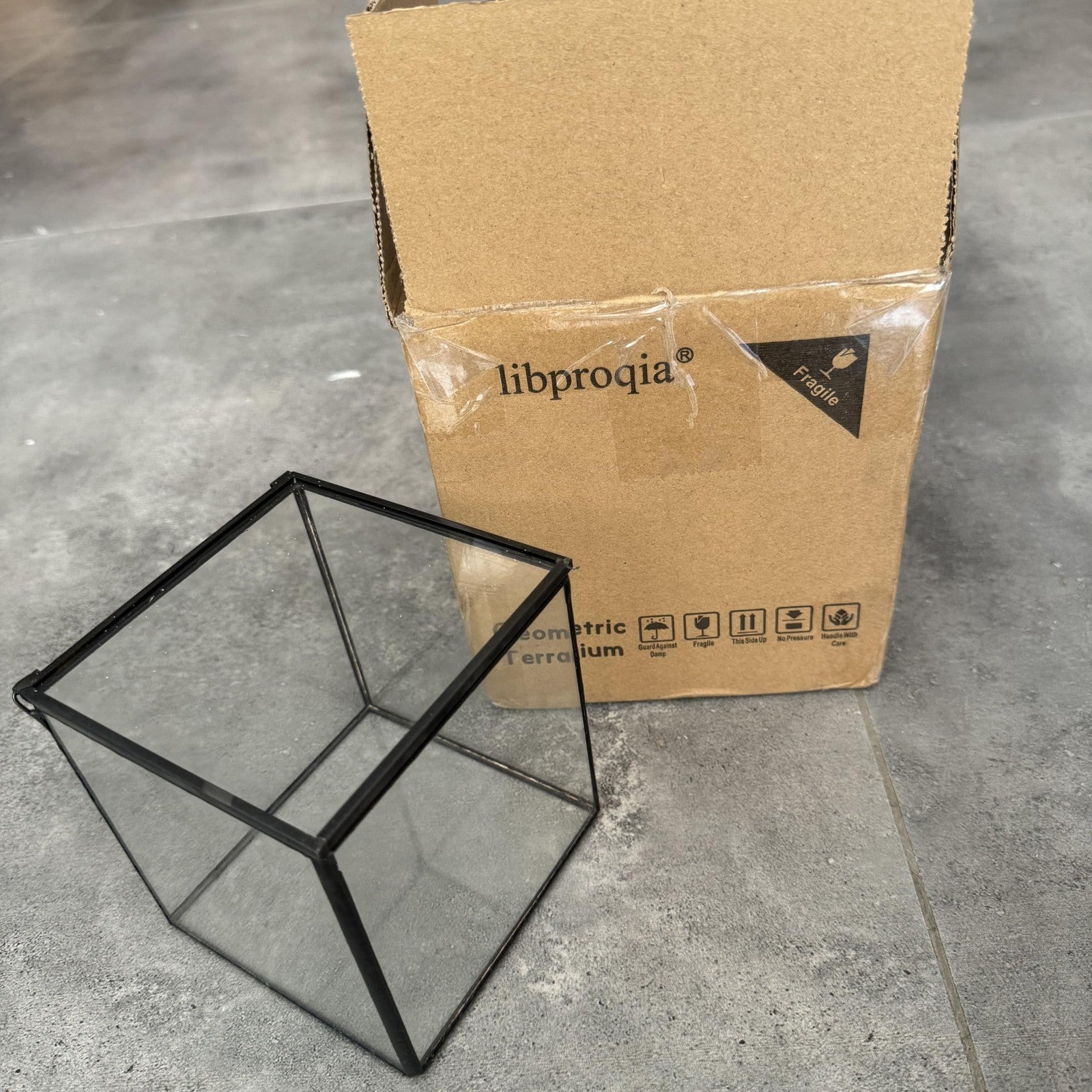 Small square glass terrarium by Libproqia, geometric clear design for indoor plant display or decorative use.