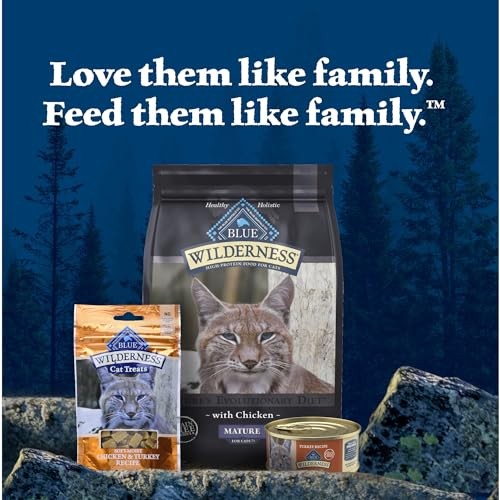 Blue Buffalo Wilderness grain-free wet cat food for adults with turkey, showing a can of Blue Buffalo cat food with turkey flavor.