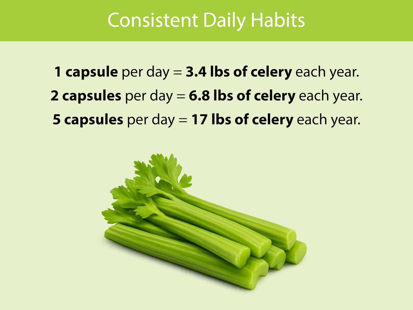 KOYAH Organic Celery Capsules with 200 mg freeze-dried whole-stalk celery powder, shown in clear capsule form.