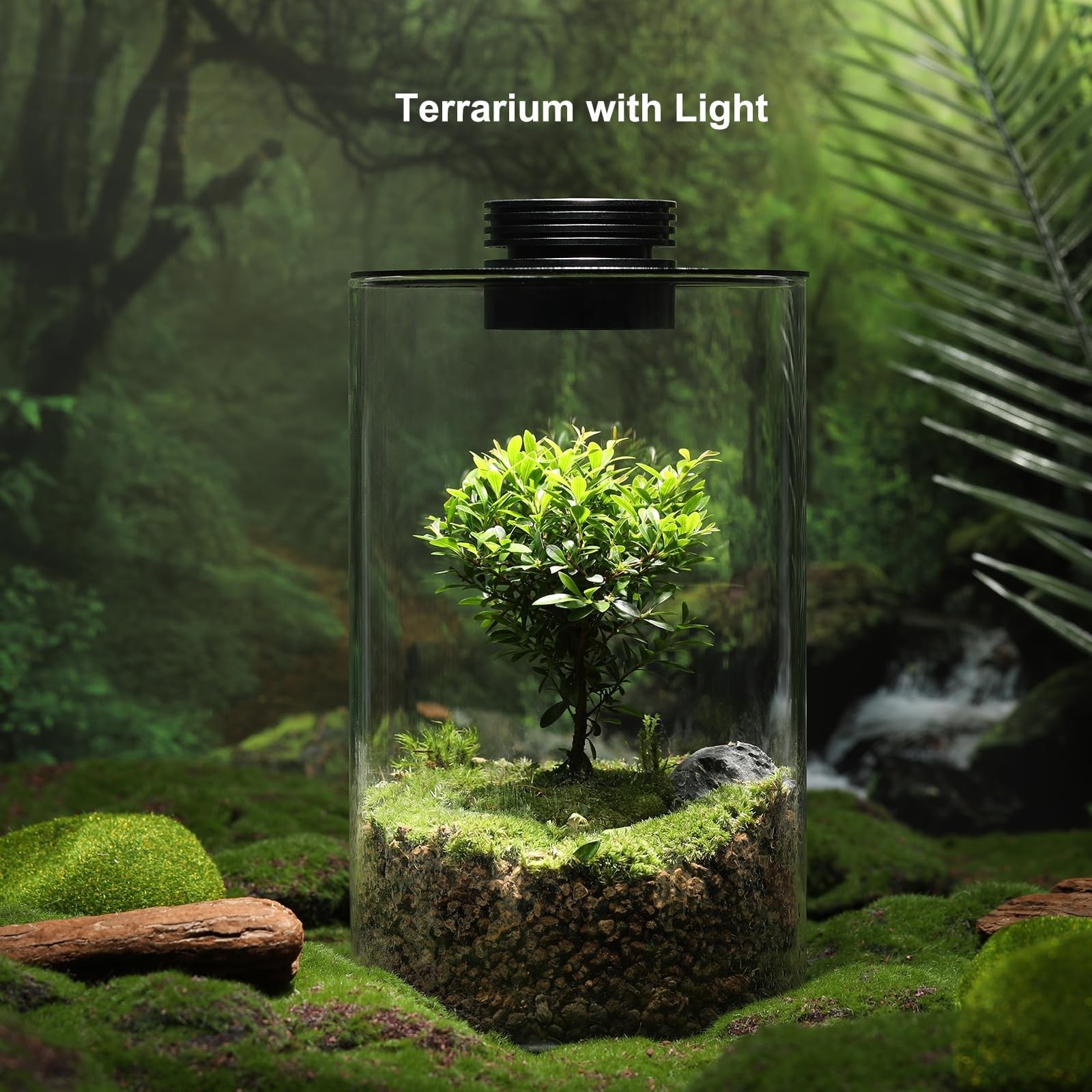 AREPK desktop glass plant terrarium with grow light, 9.8-inch tall succulent display in a clear, modern container with integrated lighting.